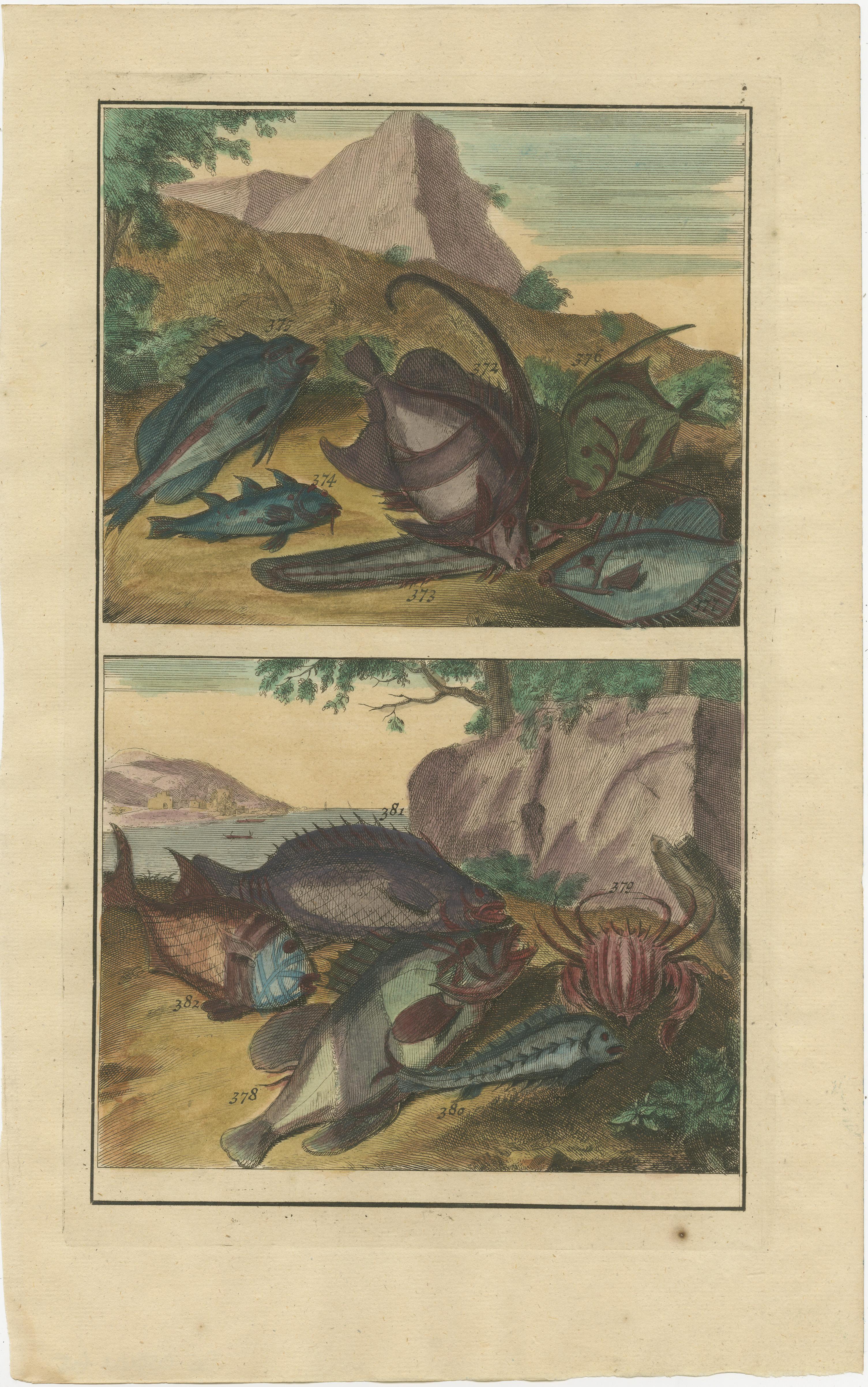 Set of 3 Colored Antique Prints of various Fishes and Crustaceans In Good Condition For Sale In Langweer, NL