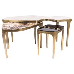 Set of 3 Cosmos Nesting Coffee Tables in Shagreen, Shell & Hwana R&Y Augousti