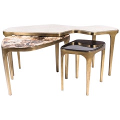 Set of 3 Cosmos Nesting Coffee Tables in Shagreen, Shell & Hwana R&Y Augousti