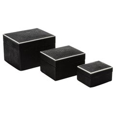 Juego de 3 cajas superiores curvadas de piel de zapa negra by R&Y Augousti