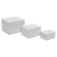 Juego de 3 cajas curvadas de piel de zapa blanca by R&Y Augousti