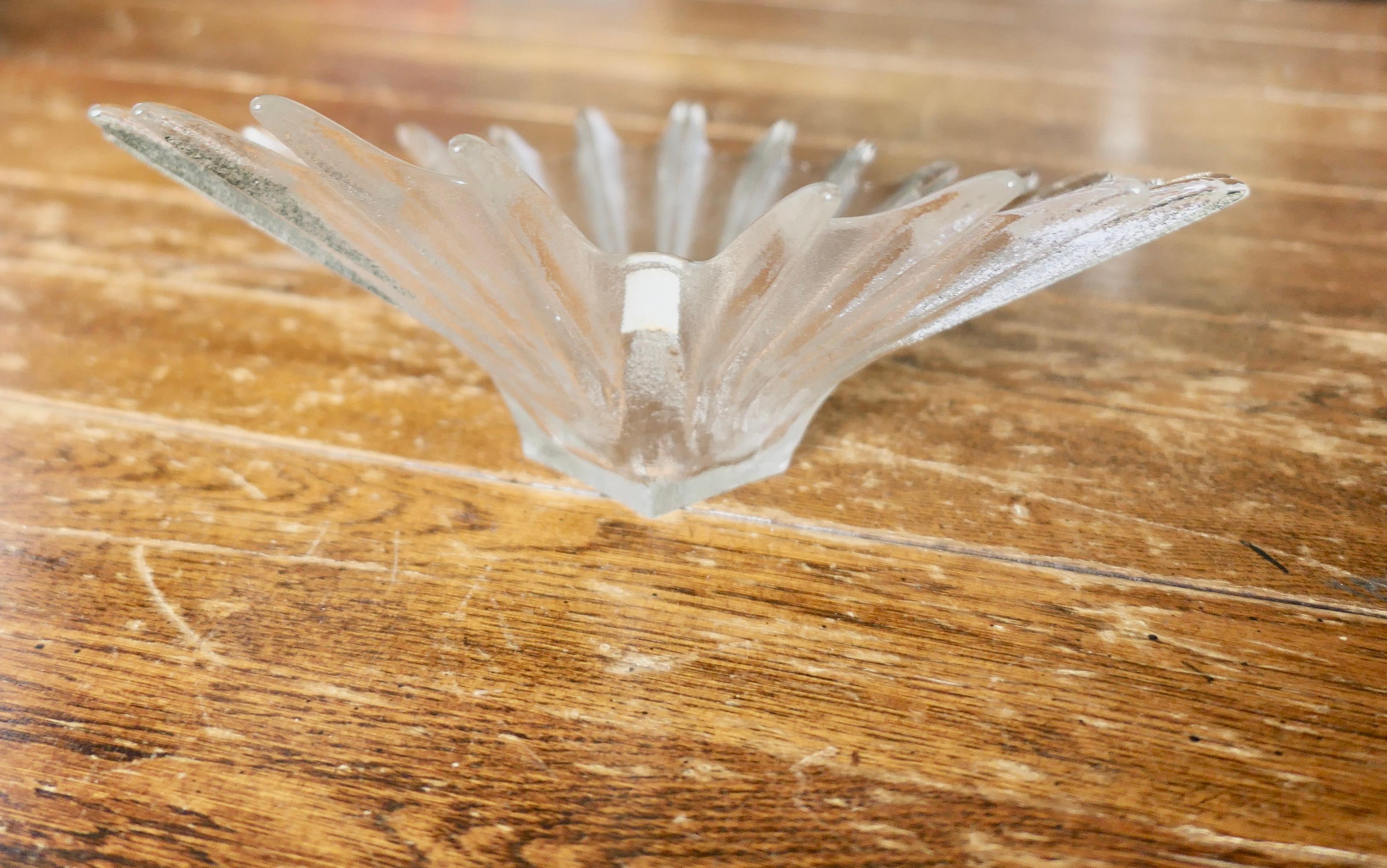 Set of 3 Darlington Crystal Palm Design Dishes  by Anita Harris In Good Condition In Godshill, Isle of Wight