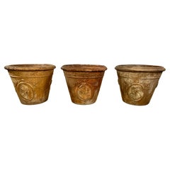 Planters and Jardinieres