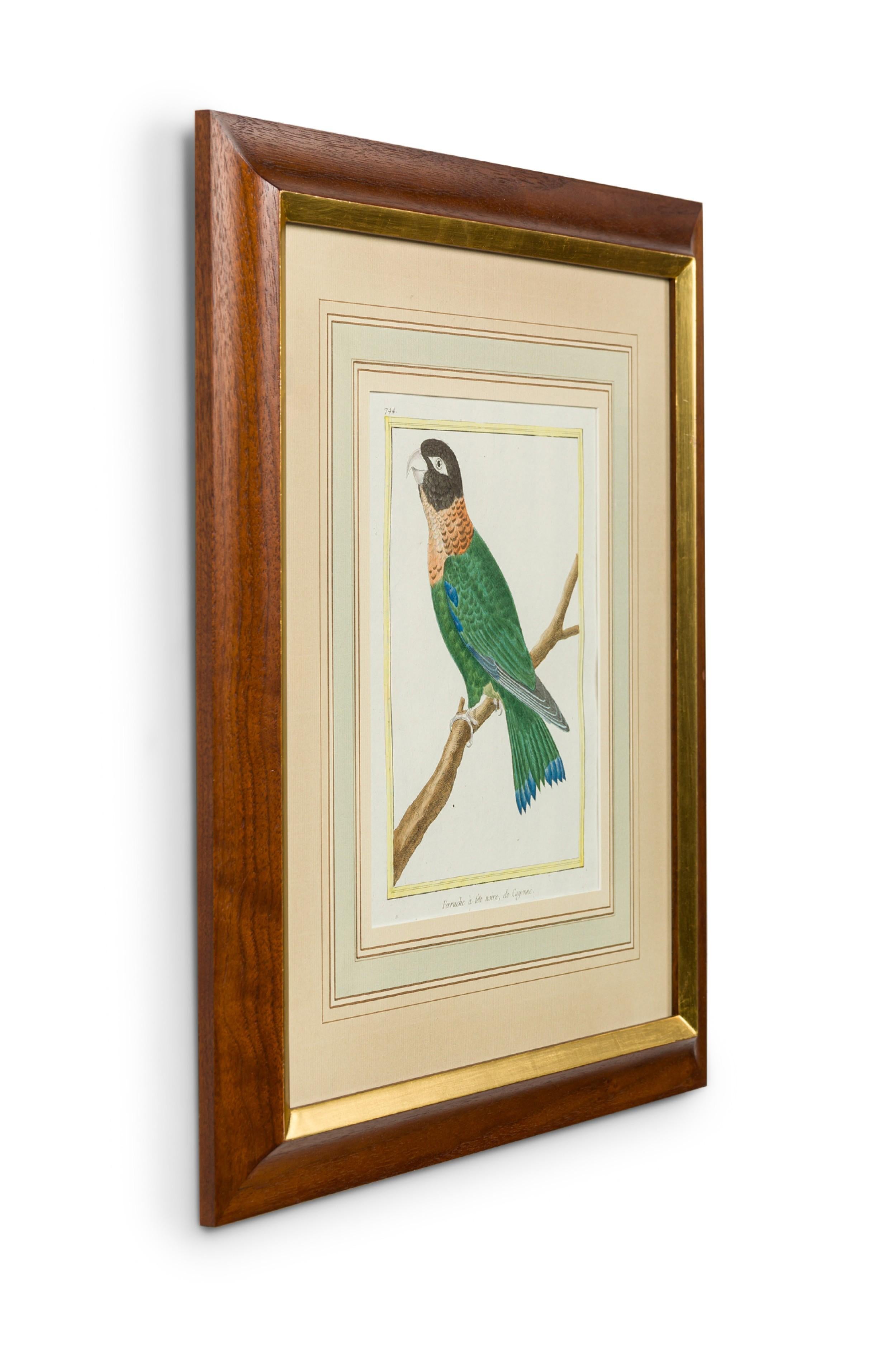 Set of 3 English Victorian Prints  of Various Birds in Different Colors (Viktorianisch) im Angebot