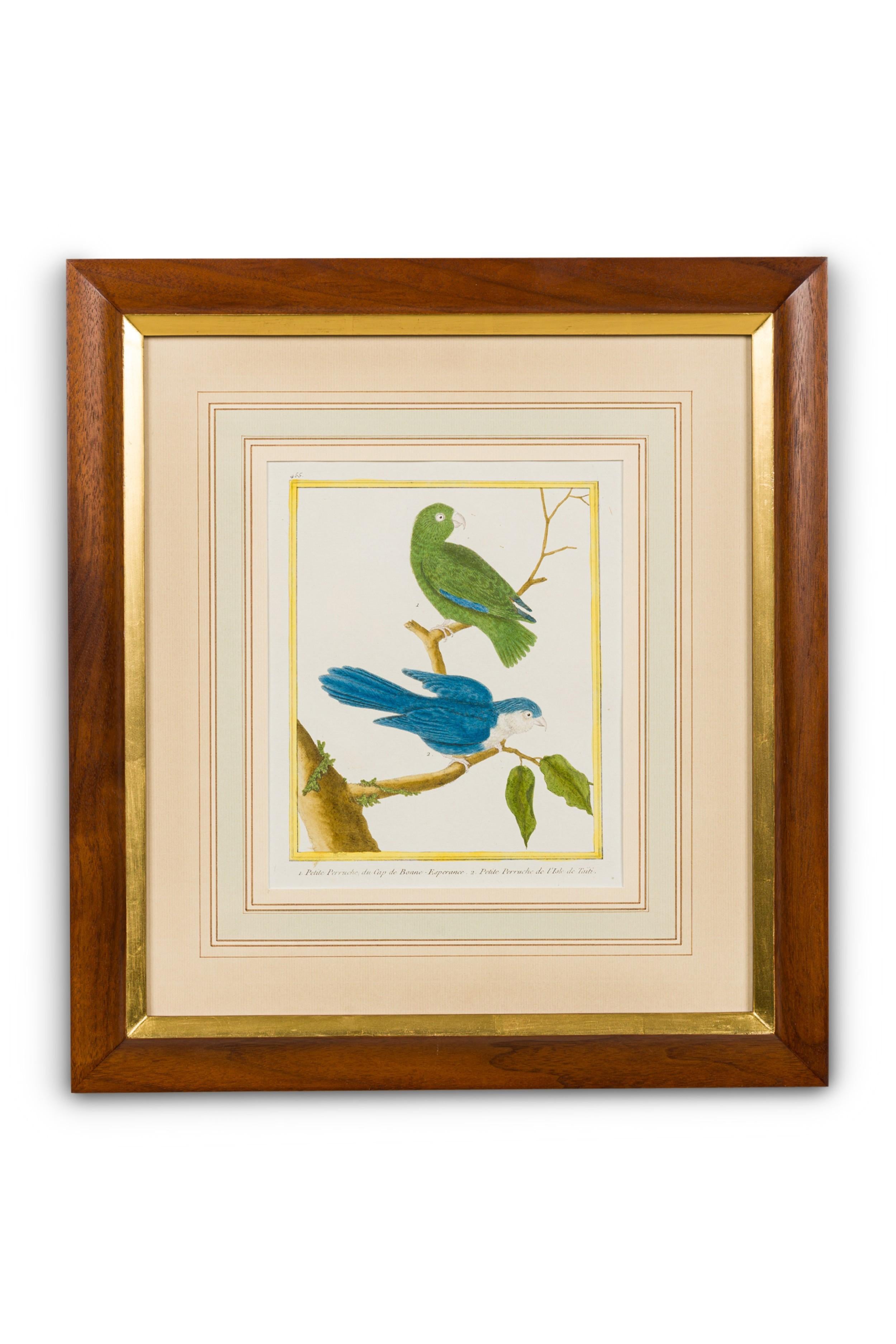 Set of 3 English Victorian Prints  of Various Birds in Different Colors (Britisch) im Angebot