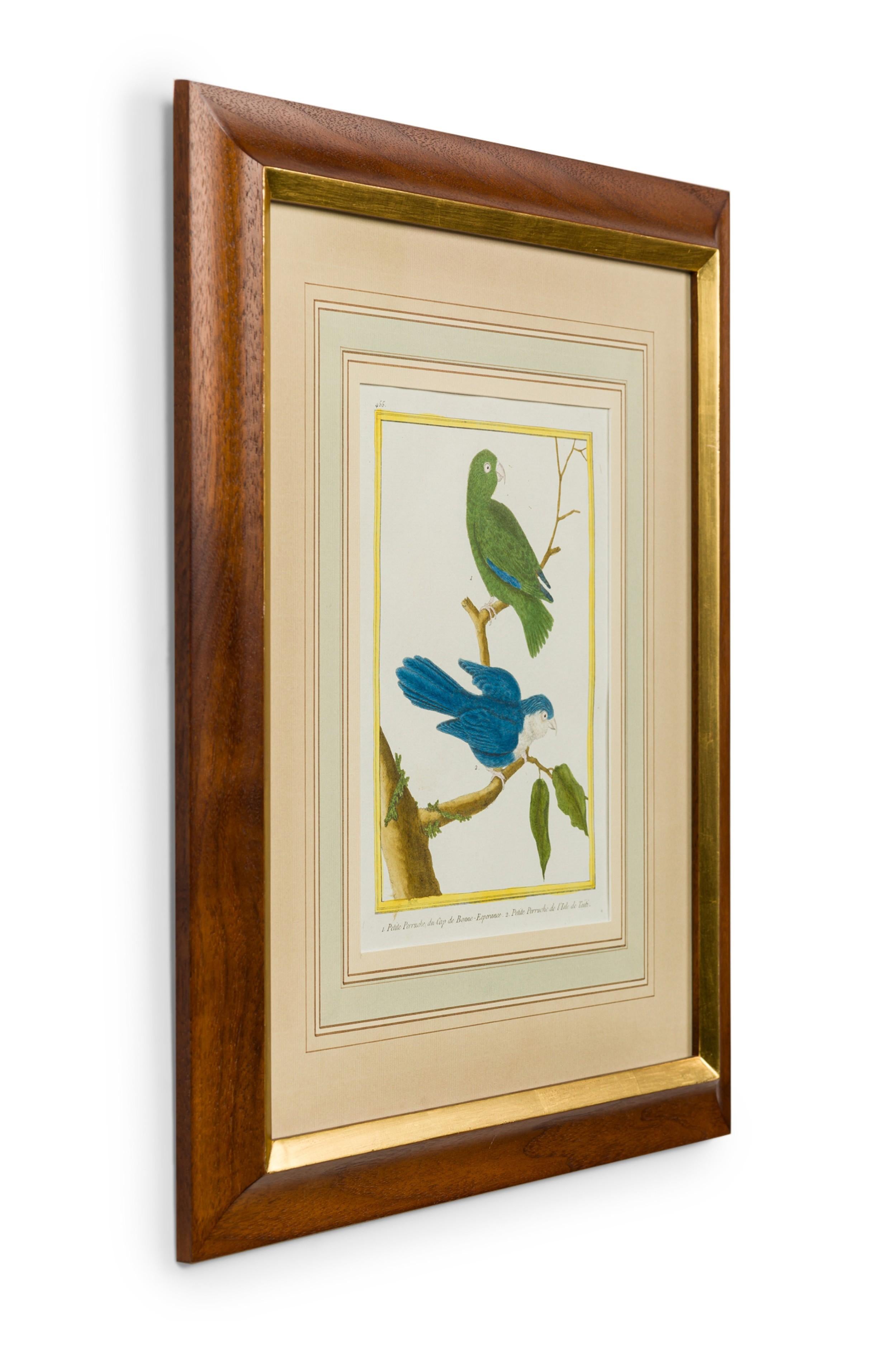Set of 3 English Victorian Prints  of Various Birds in Different Colors im Zustand „Gut“ im Angebot in Queens, NY