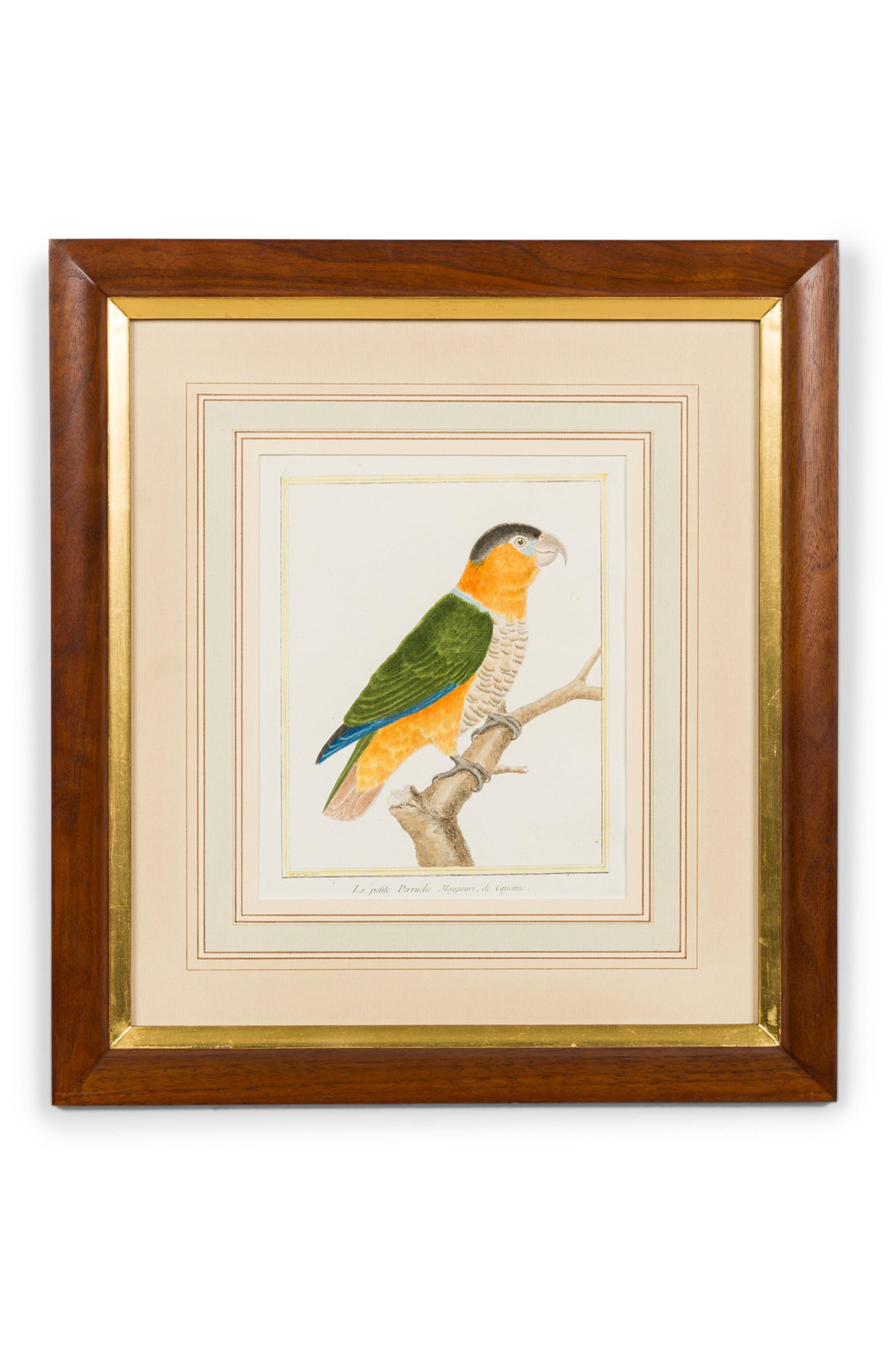 Set of 3 English Victorian Prints  of Various Birds in Different Colors (19. Jahrhundert) im Angebot