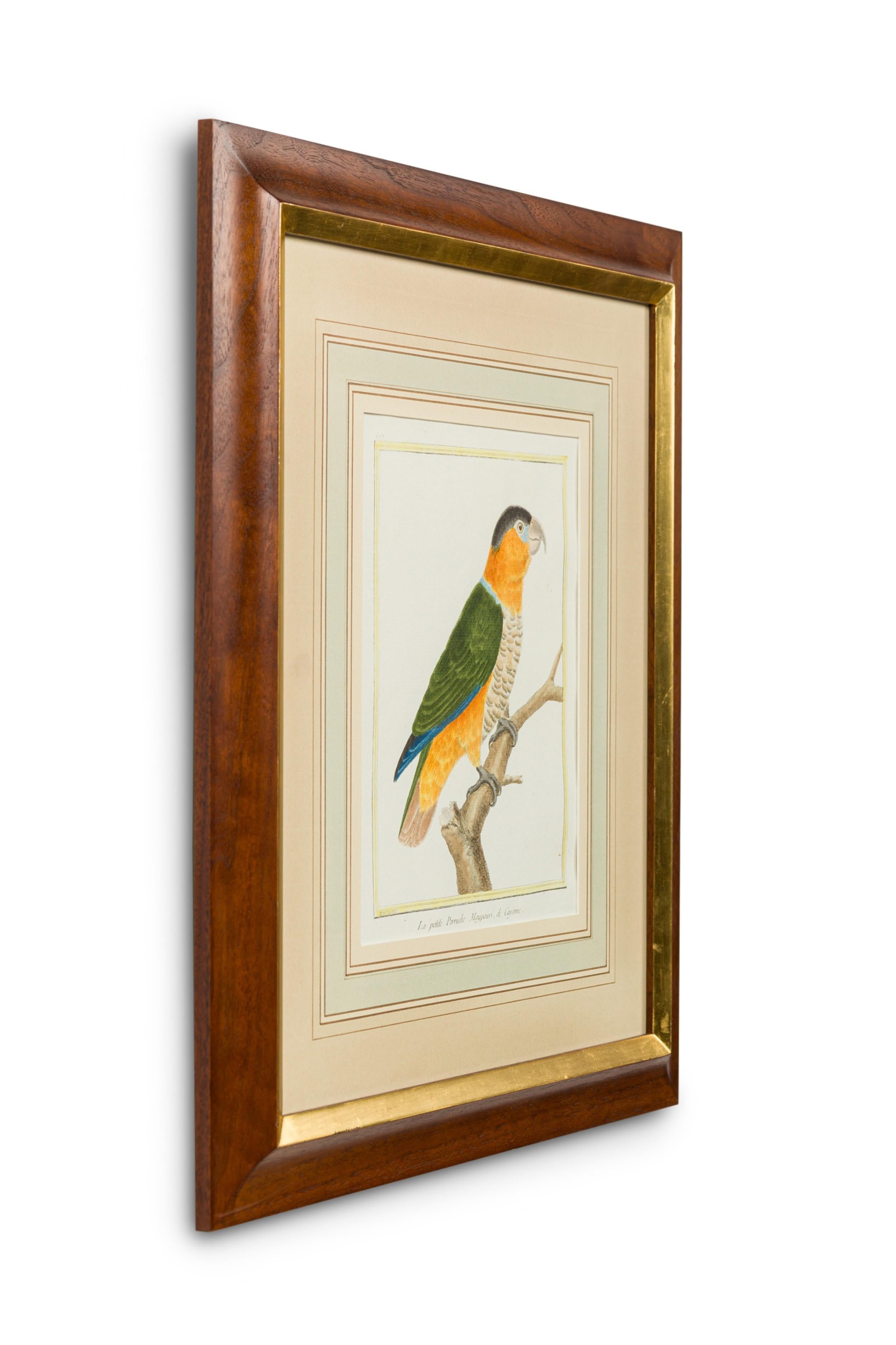 Set of 3 English Victorian Prints  of Various Birds in Different Colors (Gold) im Angebot
