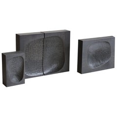 Ensemble de 3 sculptures de fossiles par Antrei Hartikainen