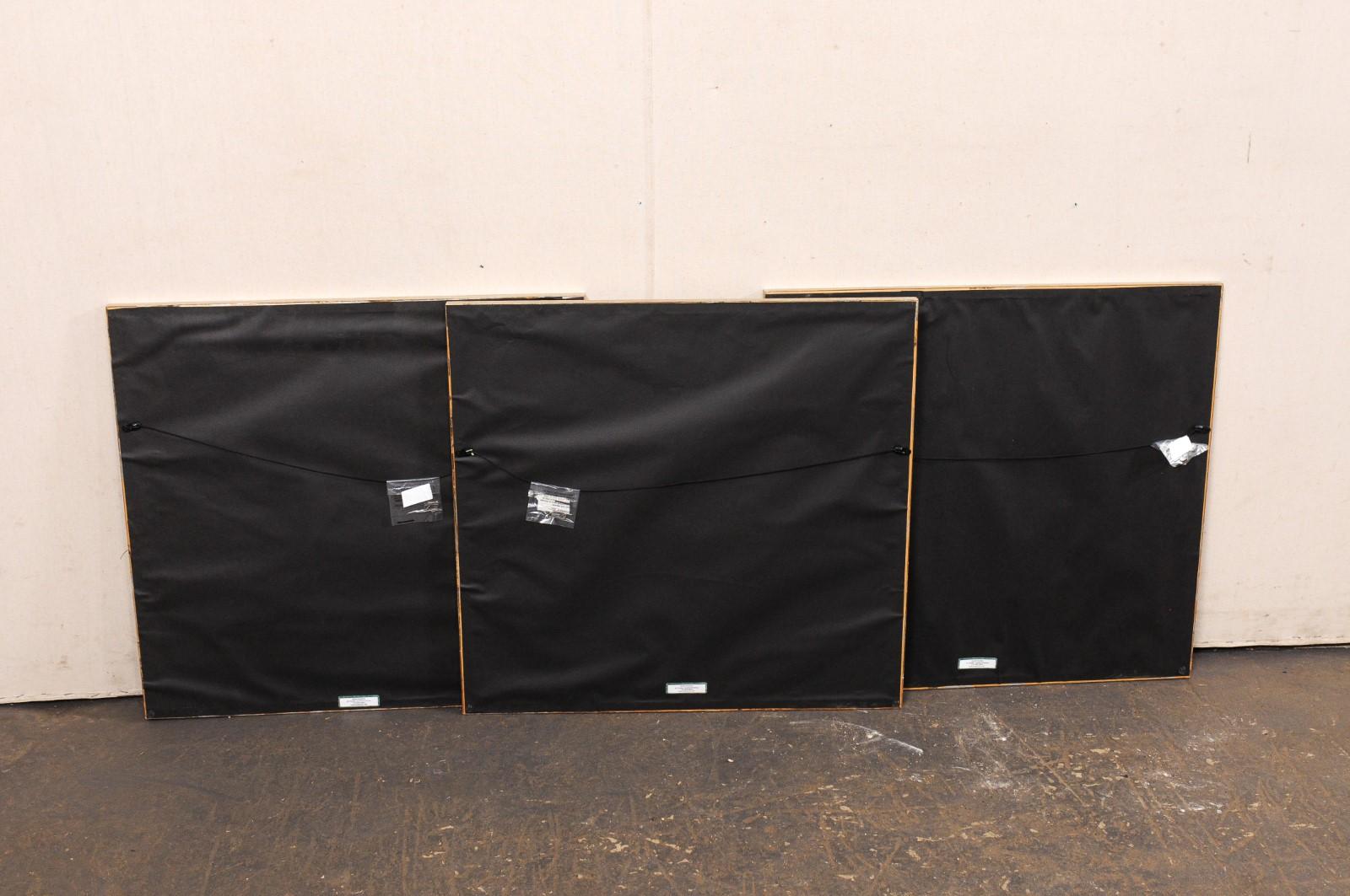 Ensemble de 3 lithographies italiennes encadrées du C.I.C. en vente 9