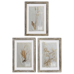 Decorative Art