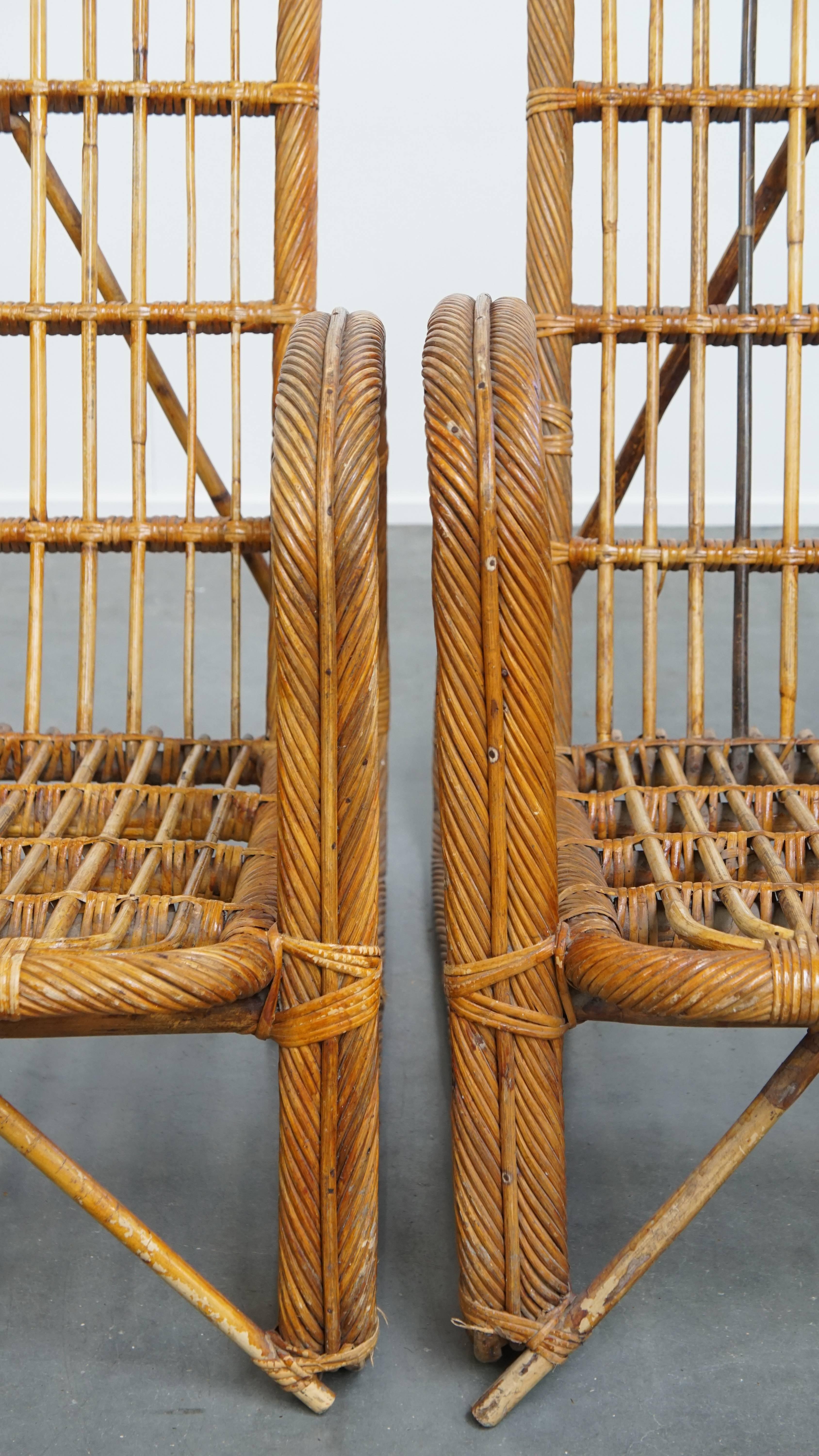 Set of 3 French Rattan Vintage Design Armchairs from the 1950s For Sale 5