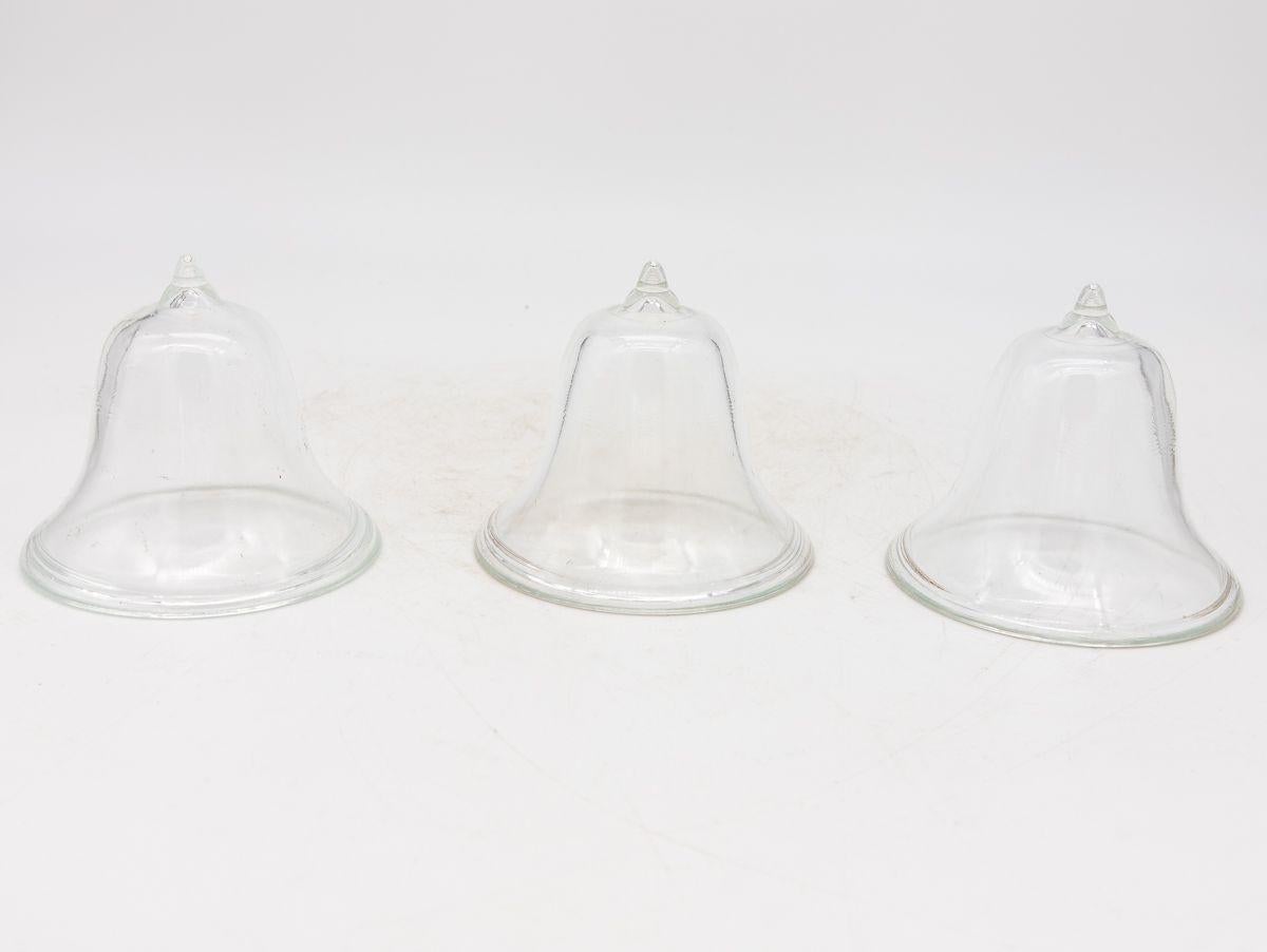 Set of 3 Glass Garden Cloches, English Mid 20th c. For Sale 2