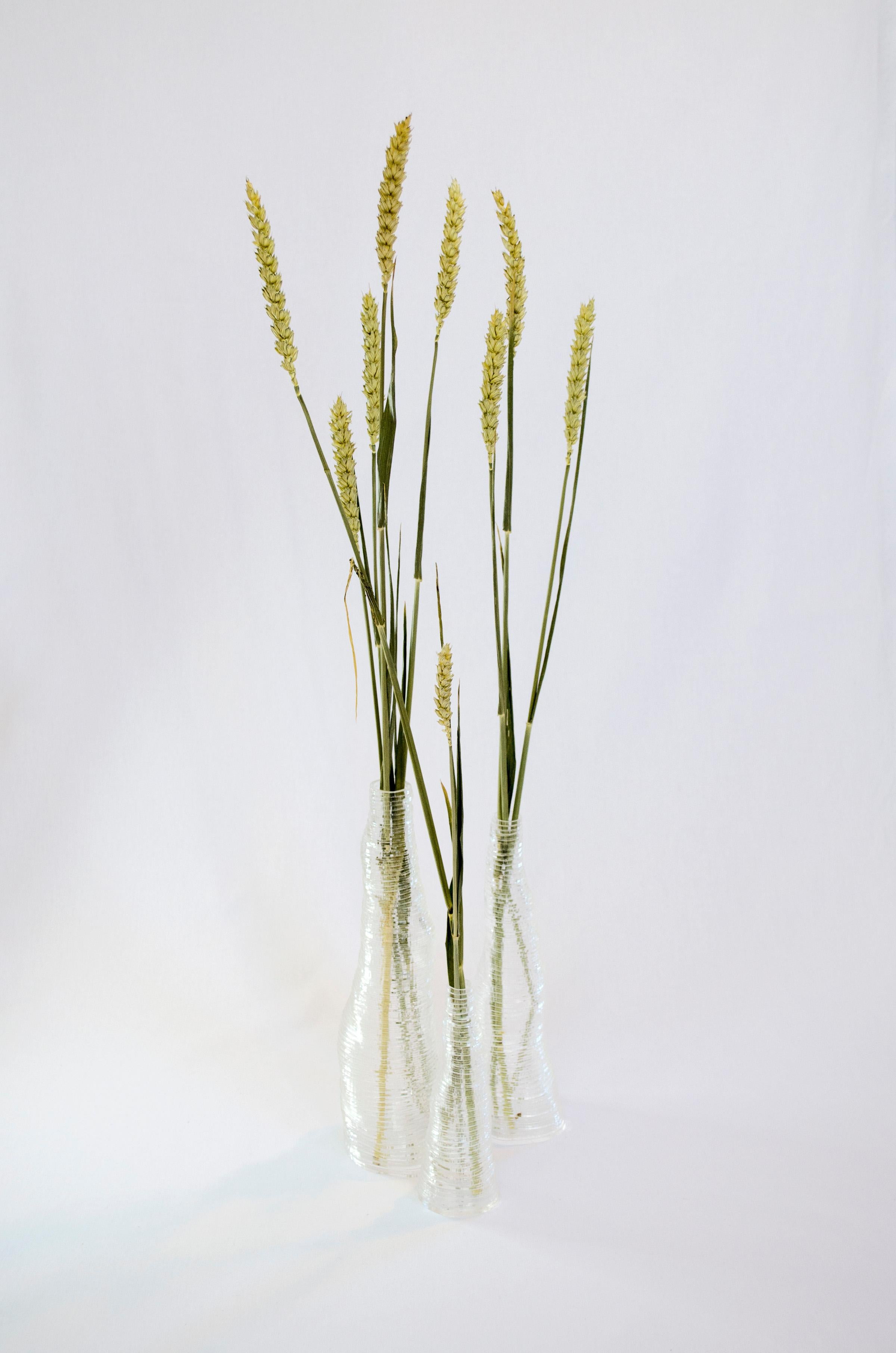 Set von 3 handgefertigten Stratum Tempus-Vasen aus hellem Acryl von Daan De Wit
Nummerierte Ausgabe
Abmessungen: D 7,5 x H 26 cm, D 6,5 x H 21 cm, D 5 x H 15 cm.
MATERIALIEN: Acryl.
Auch in anderen Farben erhältlich.

Inspiriert von Blumen, gemacht