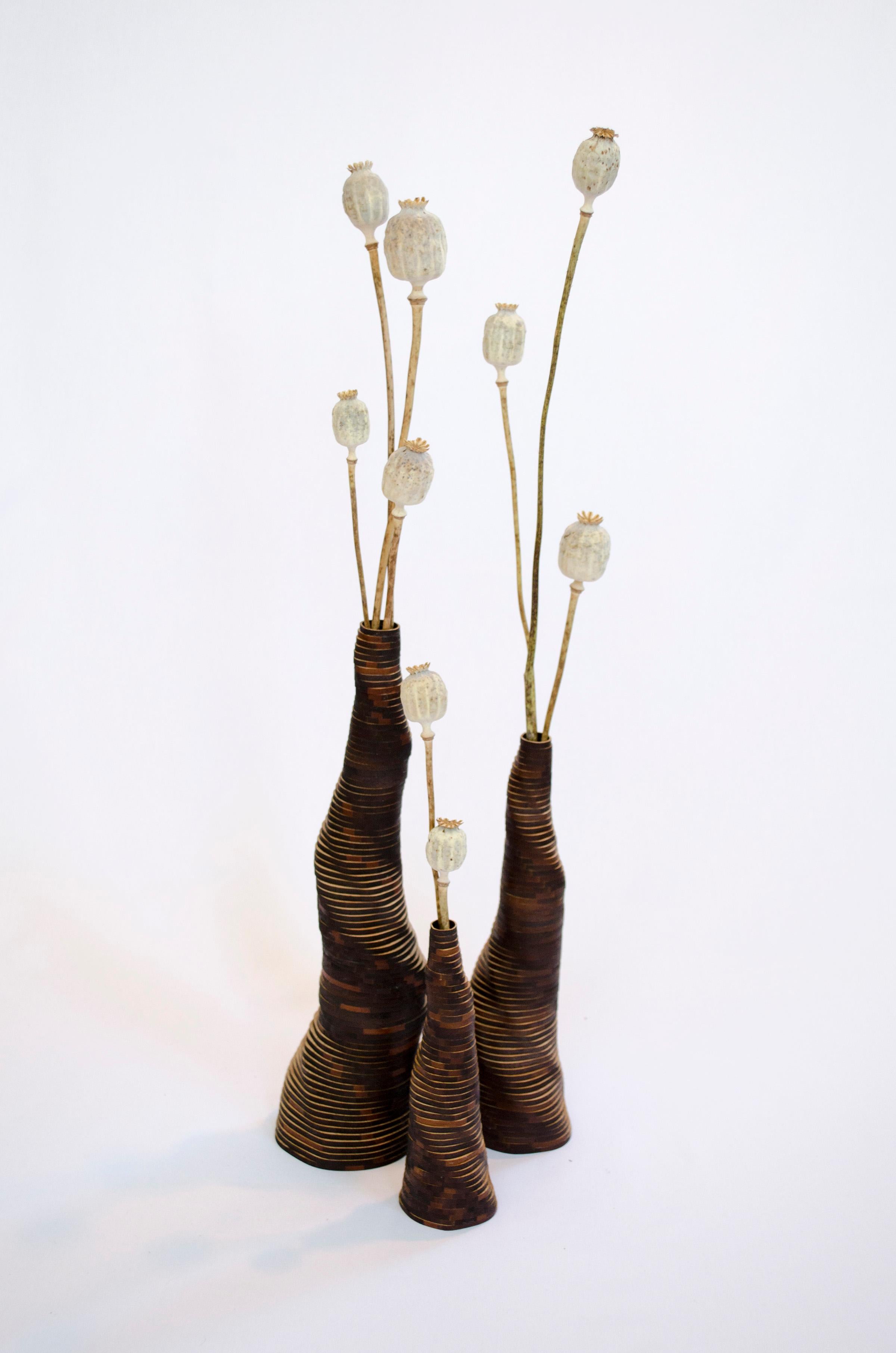 Set von 3 handgefertigten Stratum Tempus-Vasen aus gebranntem Bambus von Daan De Wit
Nummerierte Ausgabe
Abmessungen: D 7,5 x H 28 cm, D 6,5 x H 23 cm, D 5 x H 17 cm.
MATERIALIEN: Bambus.

Inspiriert von Blumen, gemacht für Blumen.
Jedes Stück wird