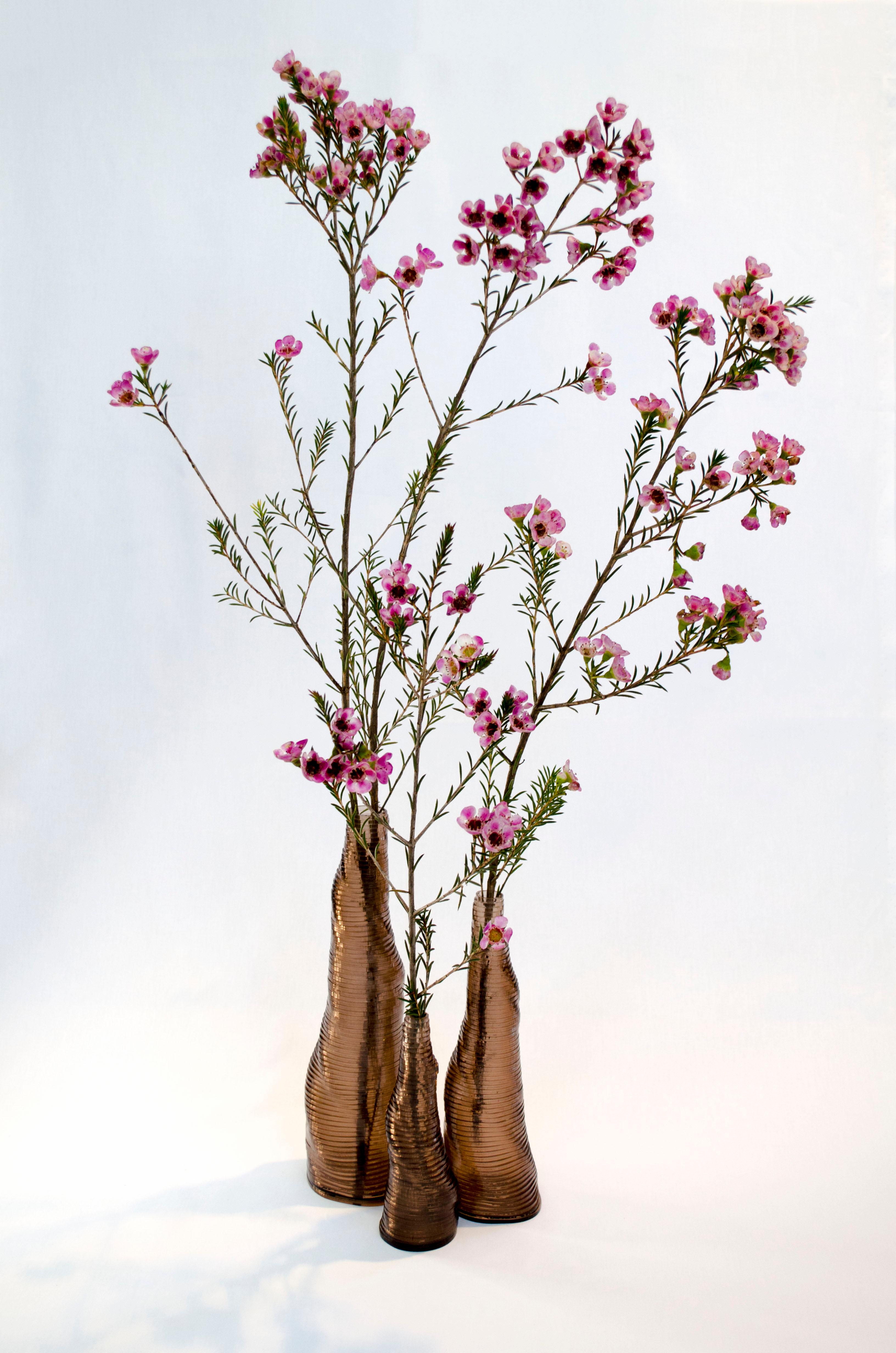 3er Set handgefertigter Stratum Tempus Vasen aus rauchbraunem Acryl von Daan De Wit
Nummerierte Ausgabe
Abmessungen: D 7,5 x H 26 cm, D 6,5 x H 21 cm, D 5 x H 15 cm.
MATERIALIEN: Acryl.
Auch in anderen Farben erhältlich.

Inspiriert von Blumen,