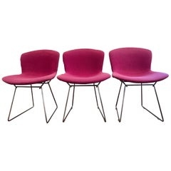 Set of 3 Harry Bertoia Wire Chairs for Knoll International, circa 1950