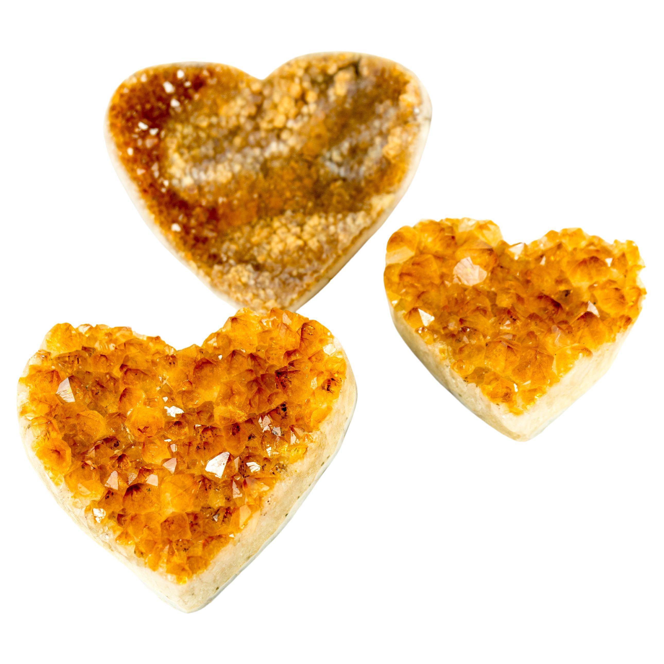 Abbiamo selezionato questo set di cuori di citrino in base alla loro alta qualità, al colore arancione intenso e alla bellezza e lucentezza generale. Ogni cuore presenta caratteristiche uniche, tra cui inclusioni di goethite, punti naturali perfetti