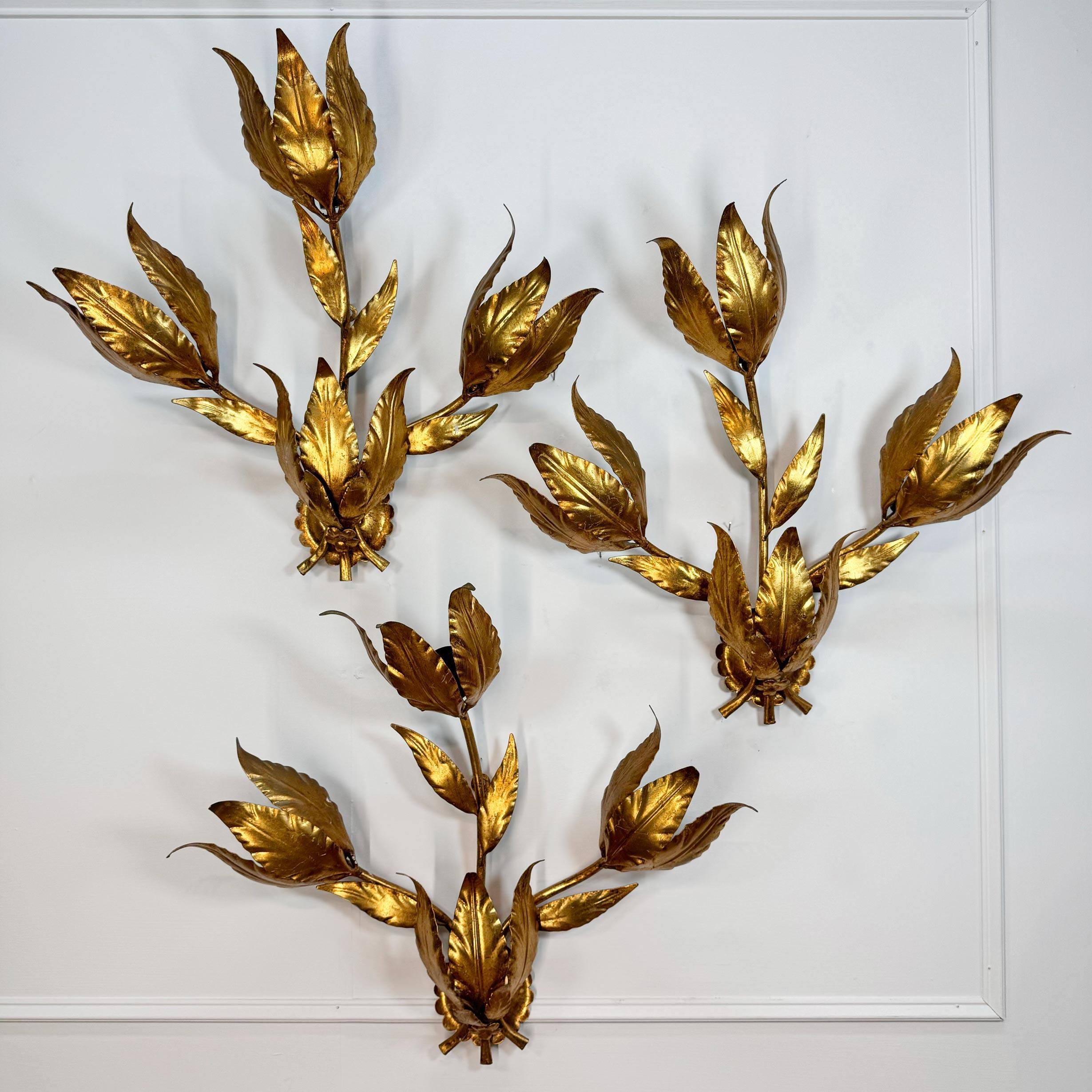 Set of 3 Large Original Hans Kogl 1970's Gilt Leaf Wall Lights For Sale 5