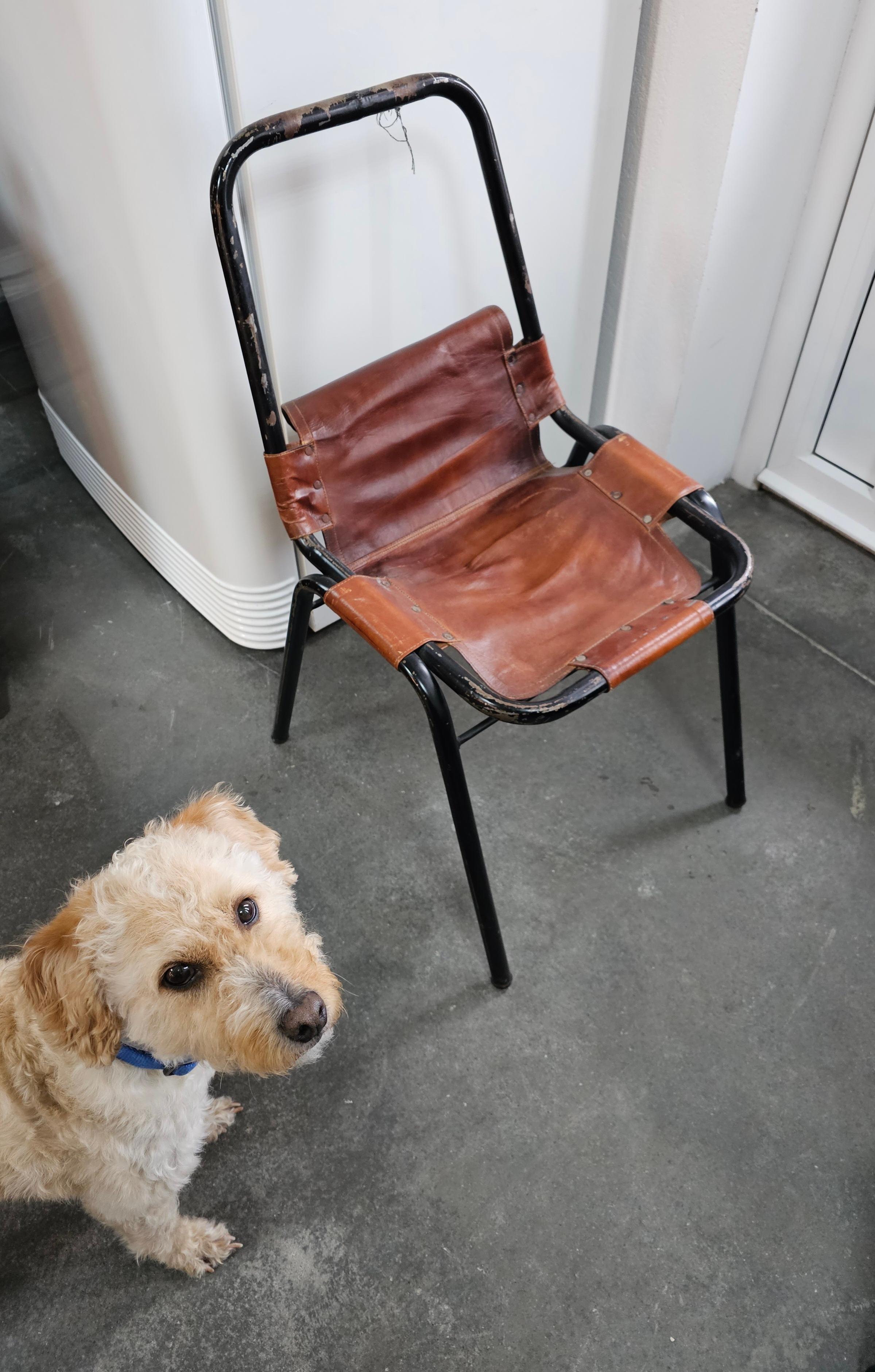 Ensemble de 3 chaises en cuir par DalVera dans le style de Charlotte Perriand, France, années 1950 en vente 1