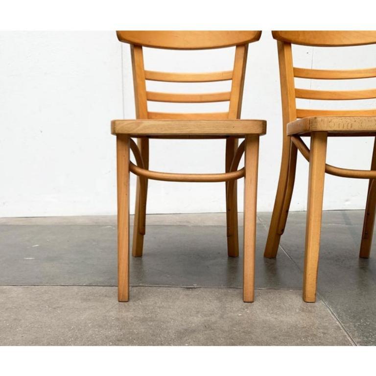 Set of 3 Mid-Century German Bentwood Chairs by ZPM Radomsko, 1950s For Sale 3