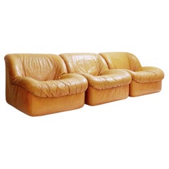 Set of 3 Mid Century Italian Moroso Armchairs in Cognac Leather