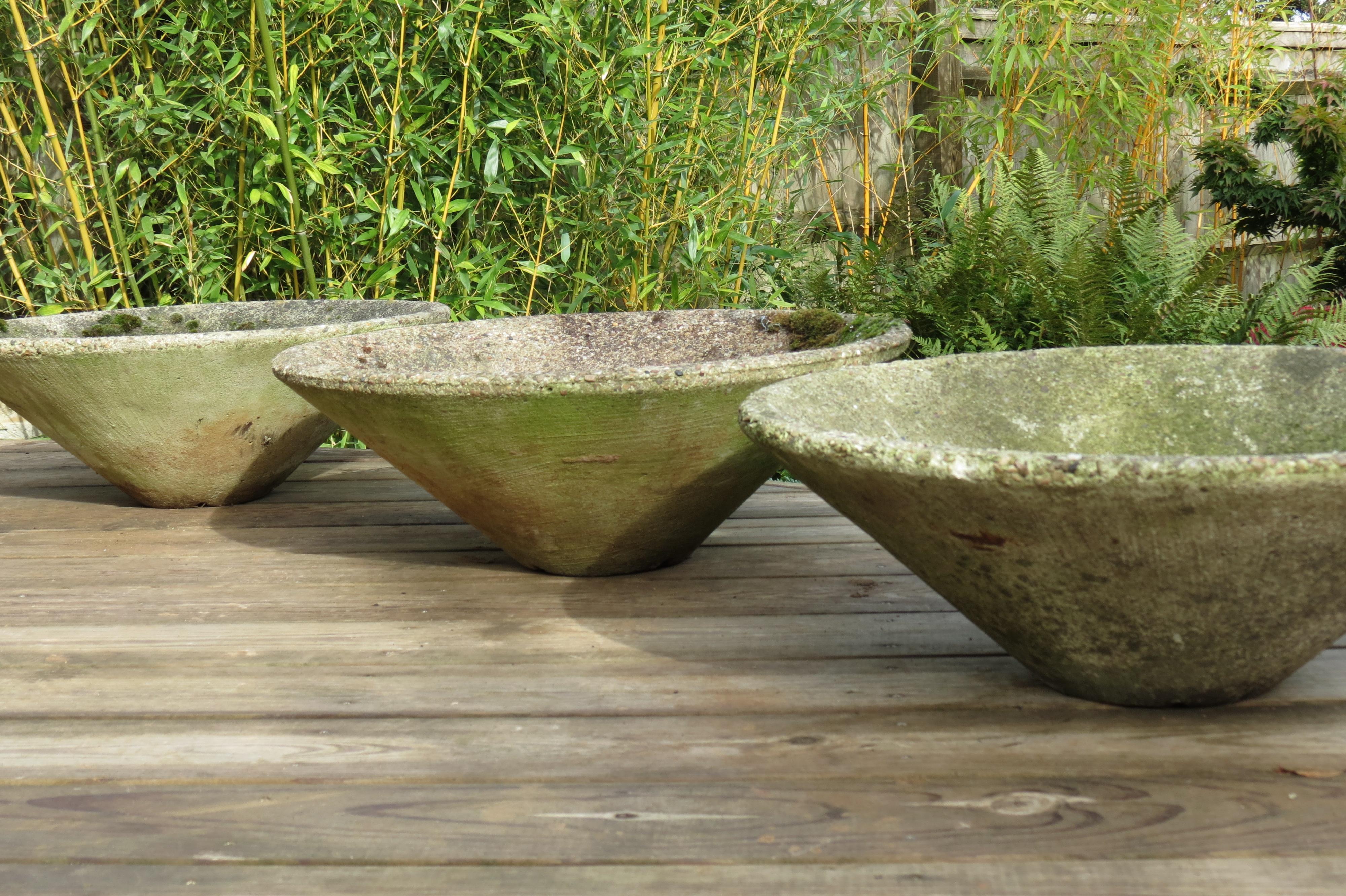 Set of 3 Mid-Century Modern Conical Shaped Concrete Planters, 1970s 1