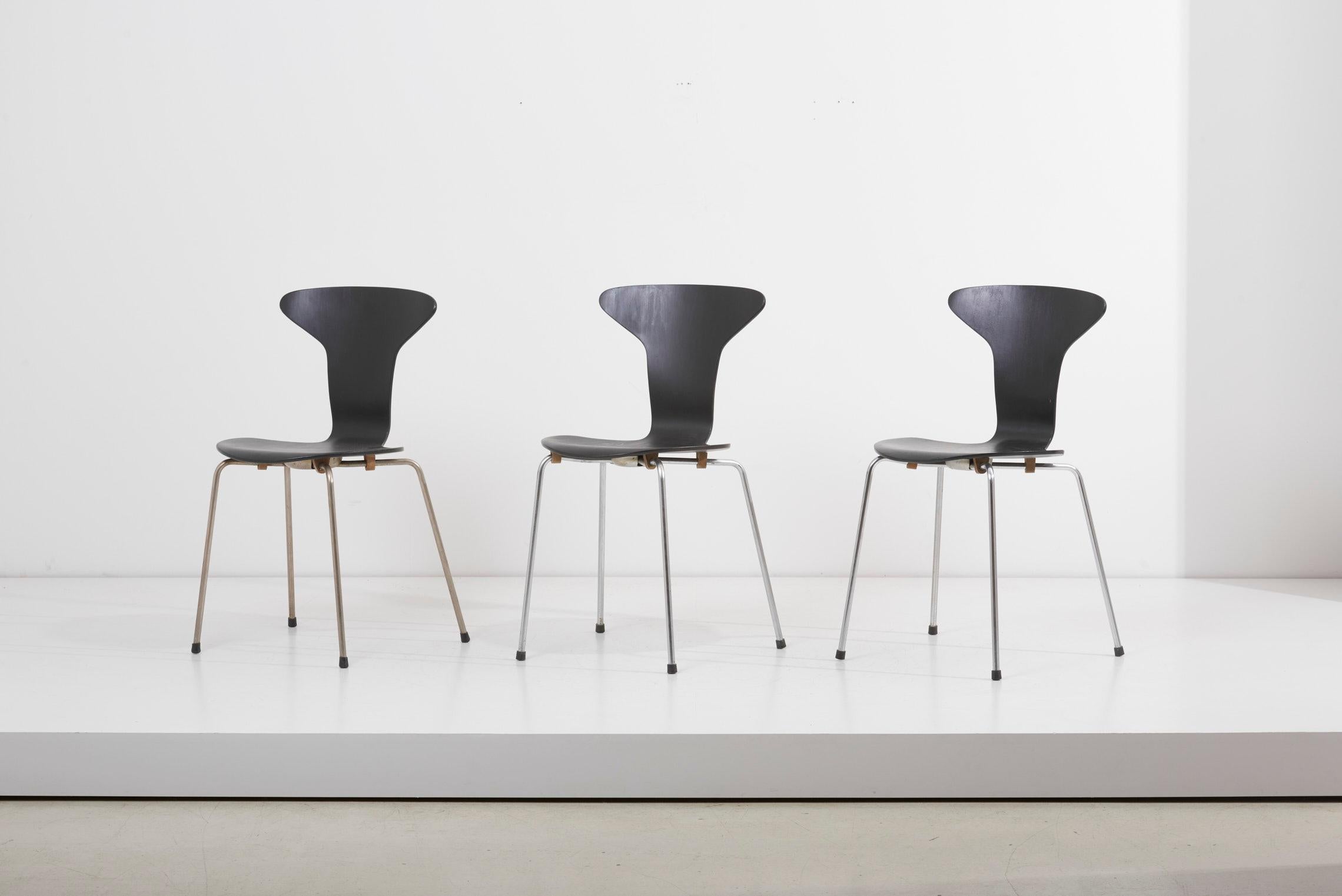 Satz von 3 schwarzen 'Mosquito' Munkegård Modell Nr. 3105 Stühle, entworfen von Arne Jacobsen für Fritz Hansen, Dänemark in den 1950er Jahren. Stapelbare Stühle sind stapelbar und aus gebogenem, schwarz lackiertem Schichtholz gefertigt. Gestützt von