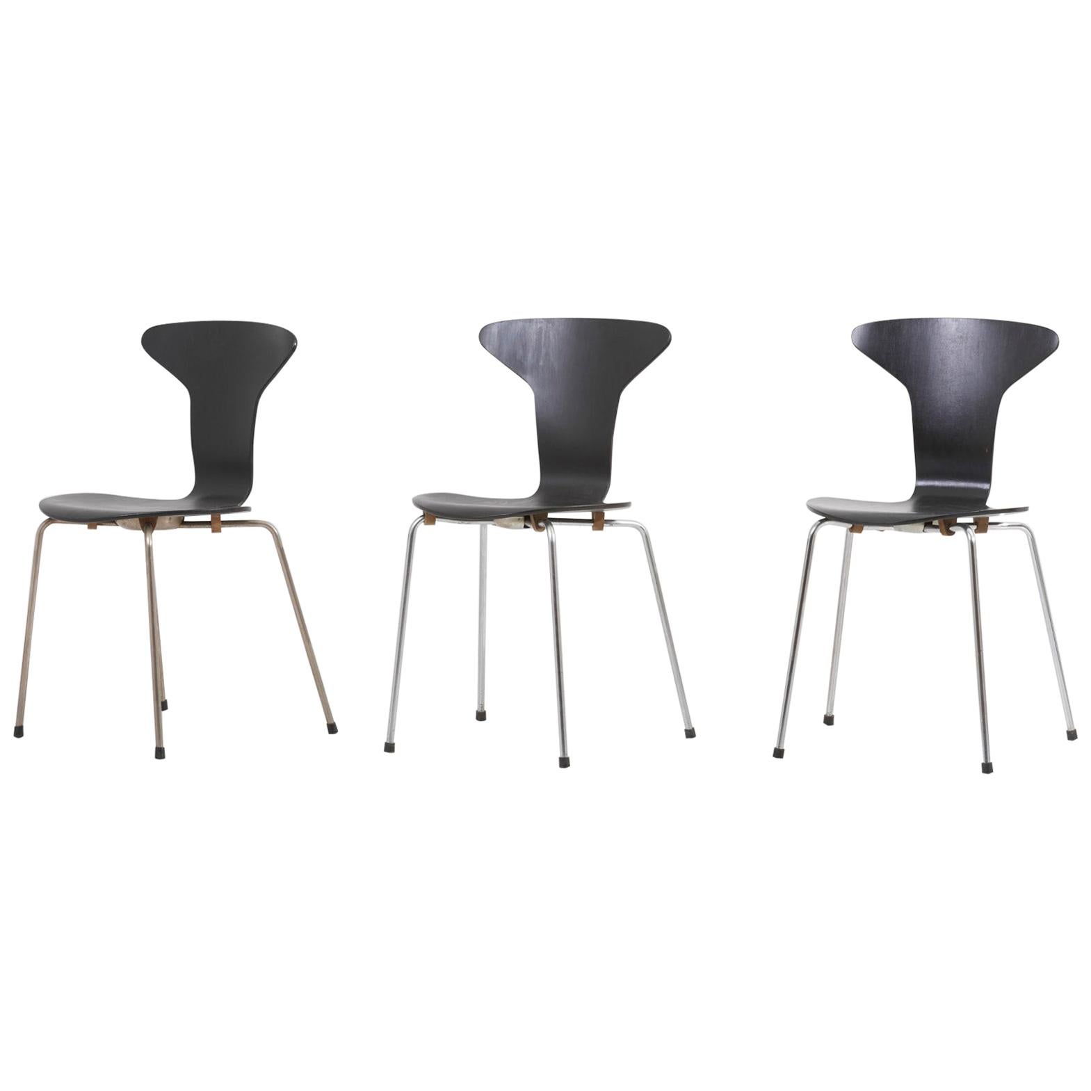 Set of 3 Mosquito Munkegård Dining Chairs by Arne Jacobsen, Denmark, 1950s For Sale