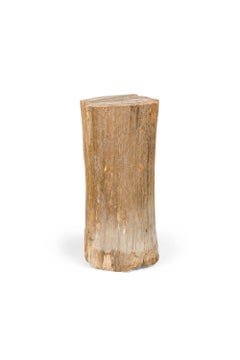 Set of 3 Natural Live Edge Petrified Wood Stumps