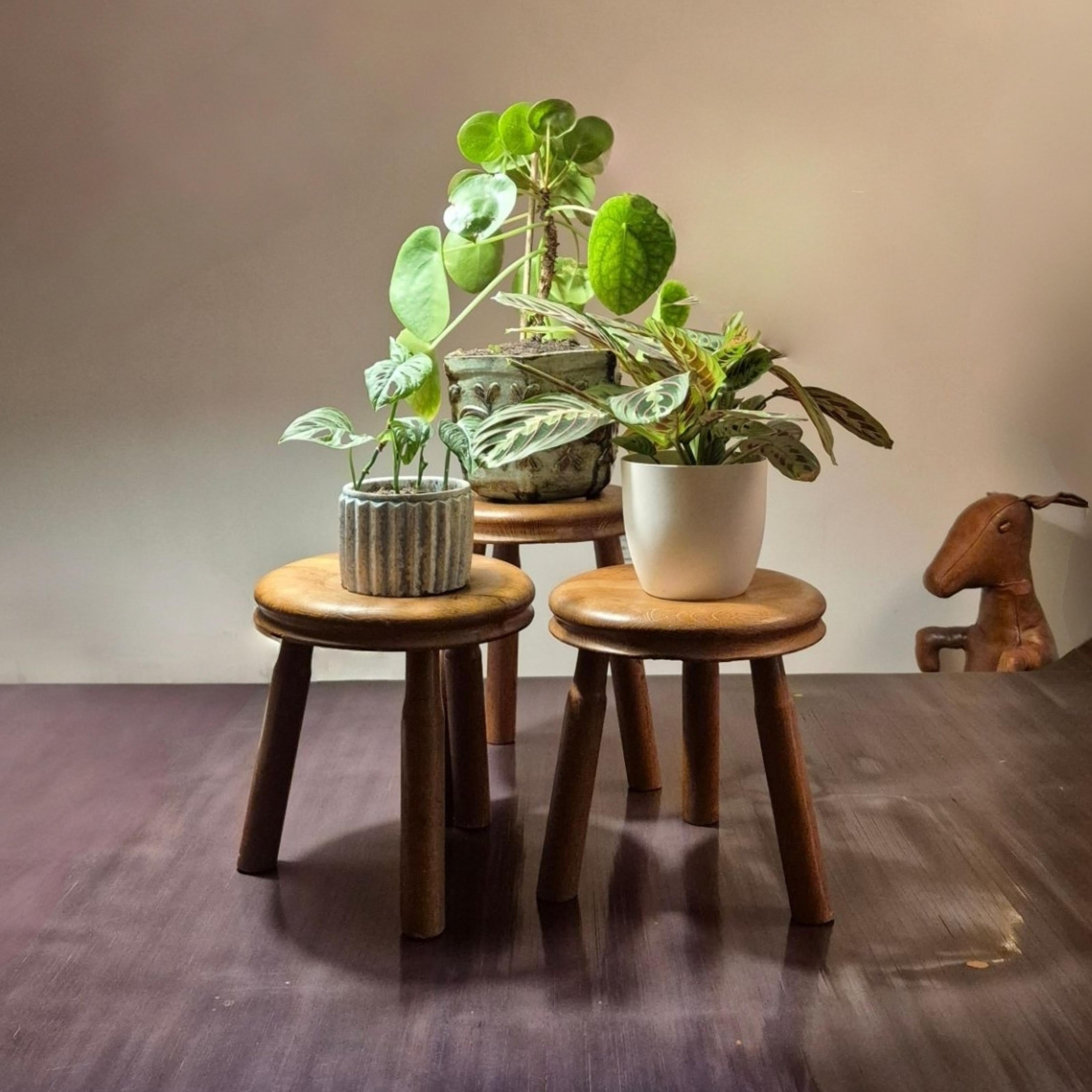 Juego de 3 taburetes de roble estilo Charlotte Perriand, Francia Años 60 en venta 5