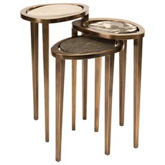 Set of 3 Peacock Nesting Side Tables in, Shagreen, Shell & Brass by R&Y Augousti