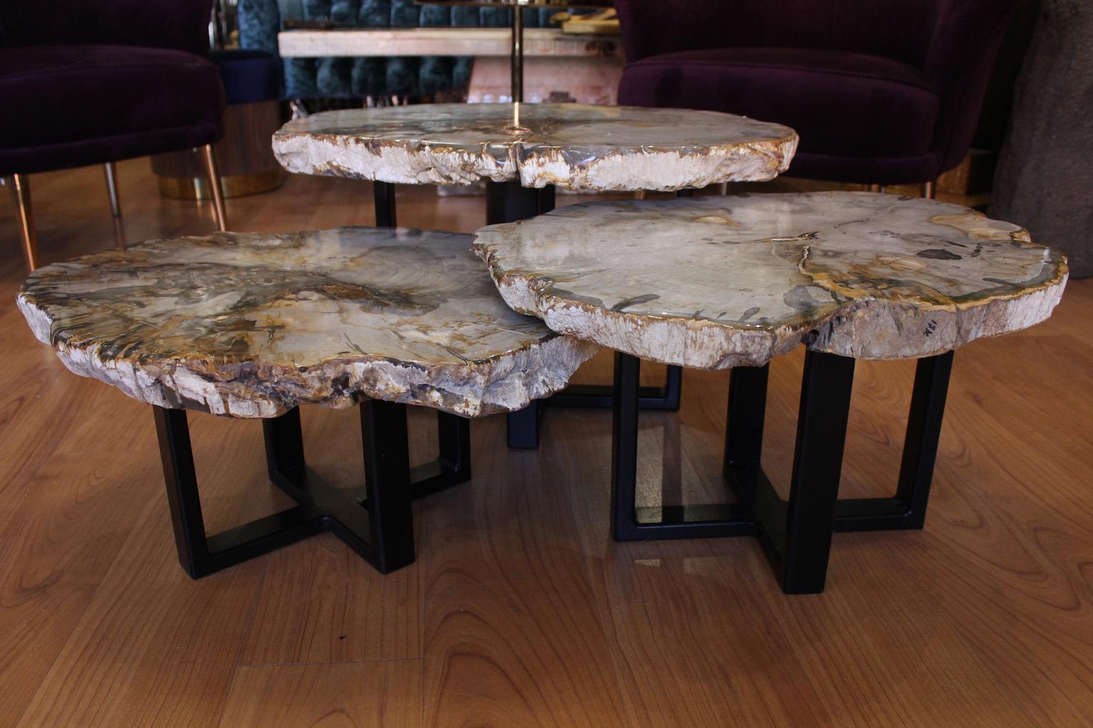 Set di 3 tavolini da caffè in Wood pietrificato in vendita 3