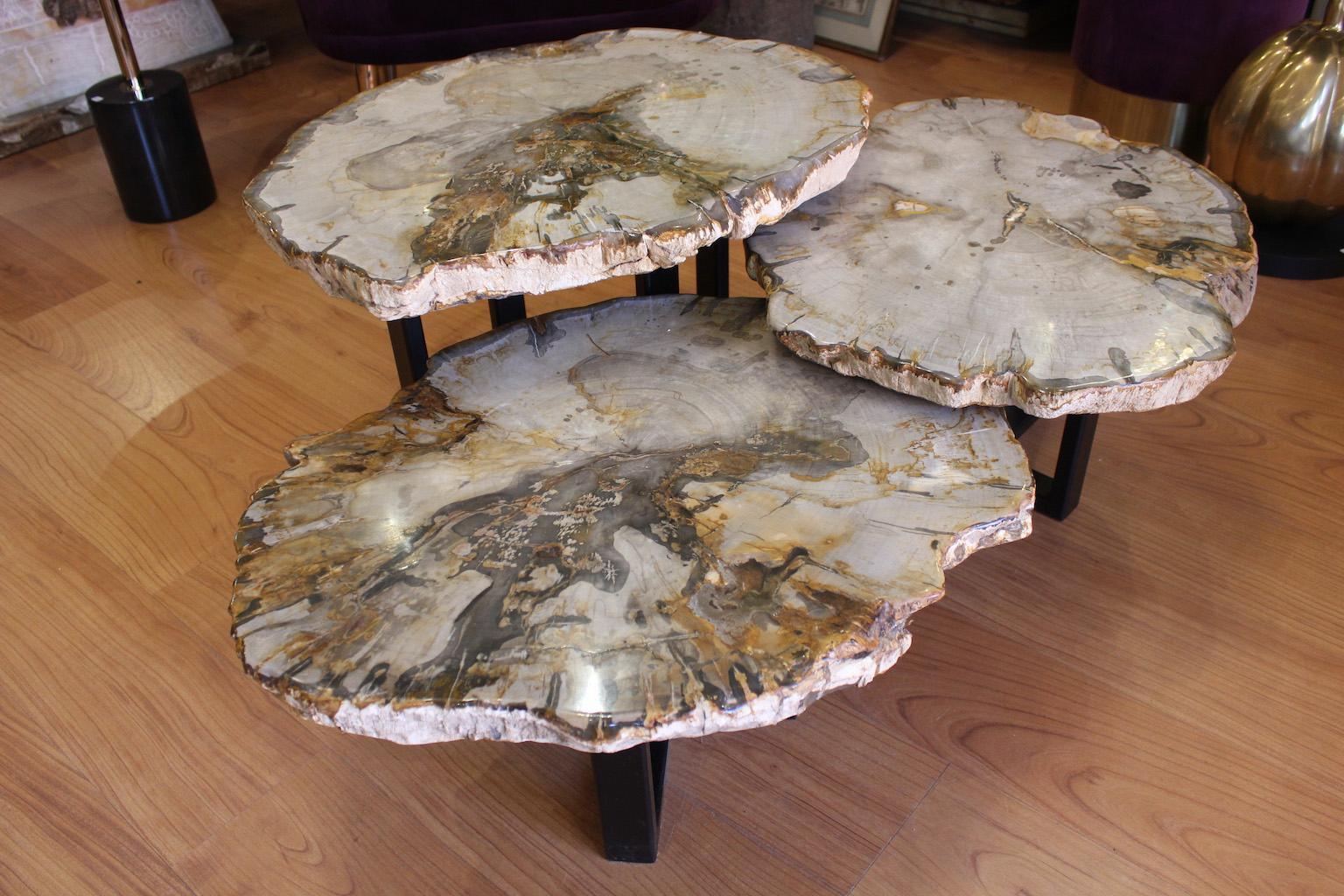 Set di 3 tavolini da caffè in Wood pietrificato in vendita 4