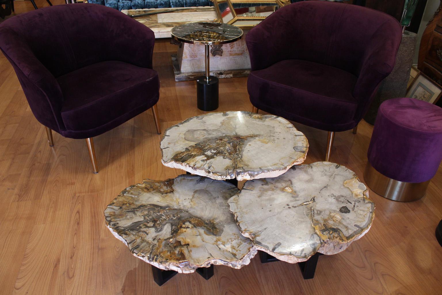 Set di 3 tavolini da caffè in Wood pietrificato in vendita 5