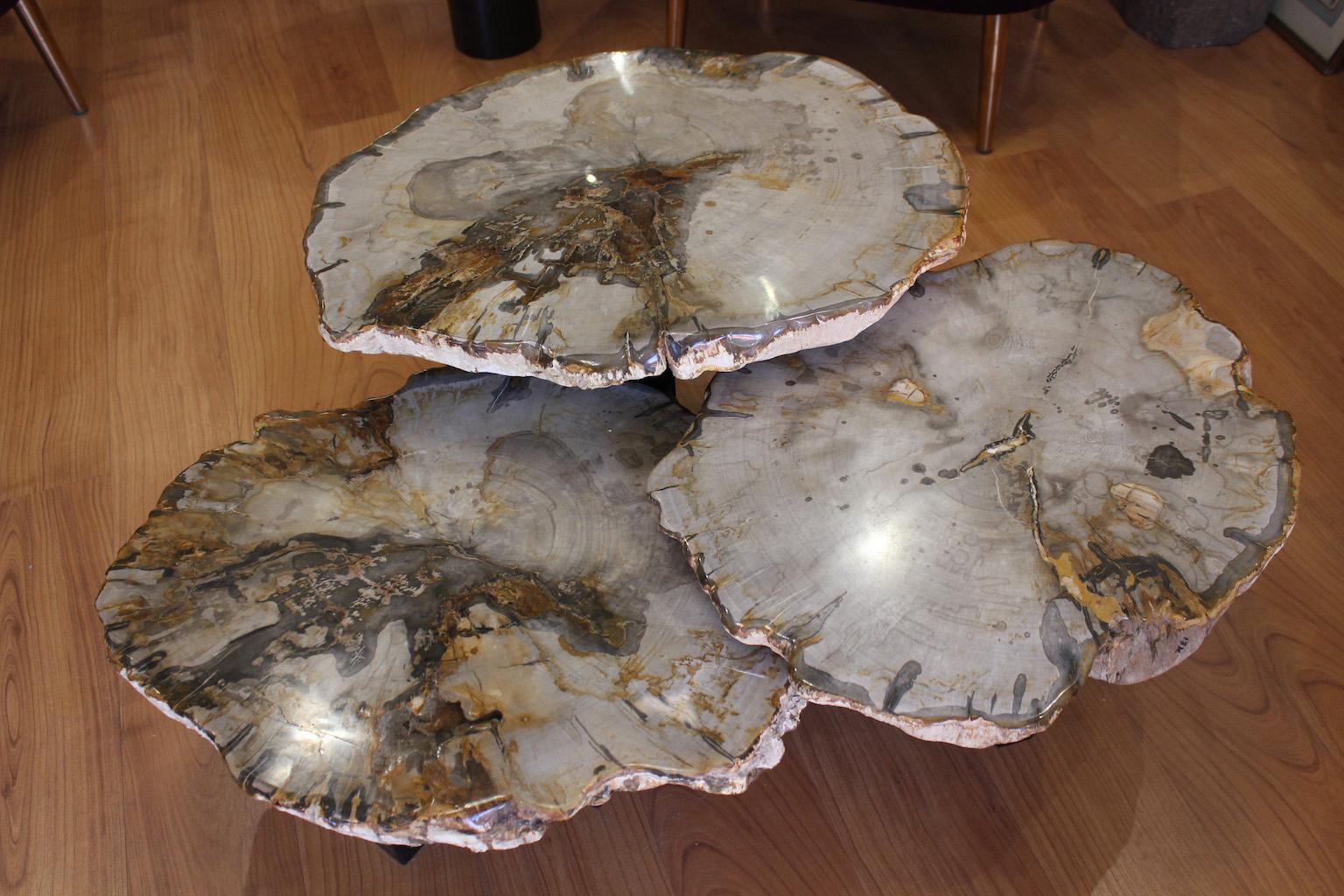 Set di tre bellissimi tavolini da caffè in legno pietrificato. 
Dimensioni : 
- L 62 cm, P 48 cm, H 38 cm
-L. 57 cm, P. 44 cm, H. 31 cm
-L. 57 cm, P. 47 cm, H. 26 cm.
