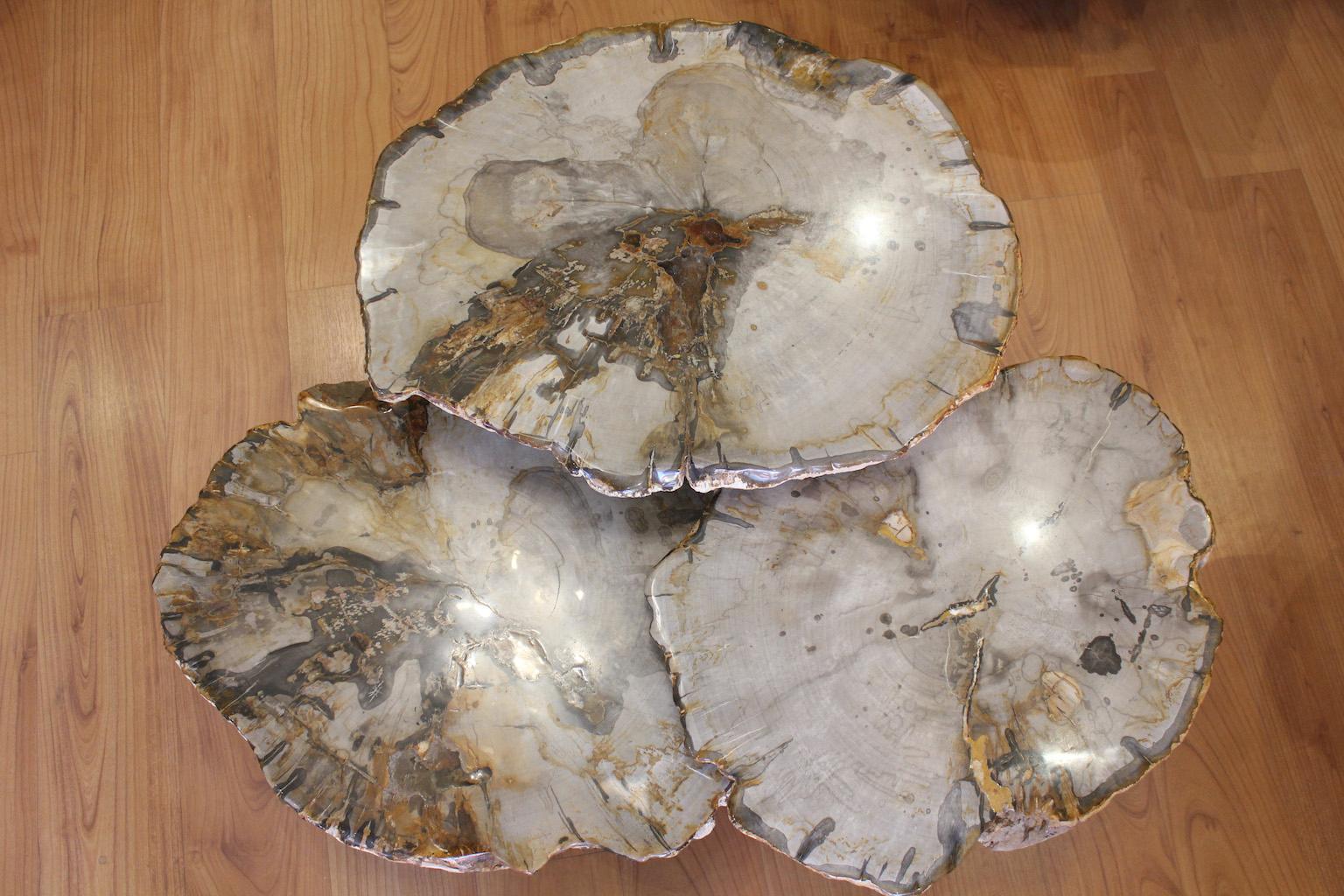 Lucidato Set di 3 tavolini da caffè in Wood pietrificato in vendita