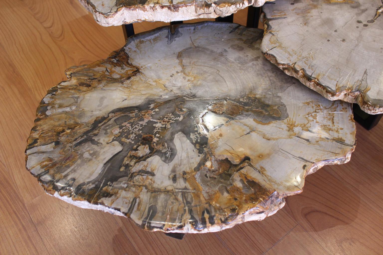 Legno pietrificato Set di 3 tavolini da caffè in Wood pietrificato in vendita