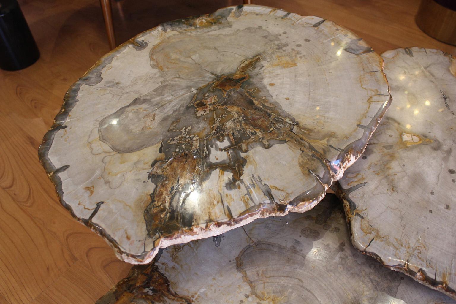 Set di 3 tavolini da caffè in Wood pietrificato in vendita 1