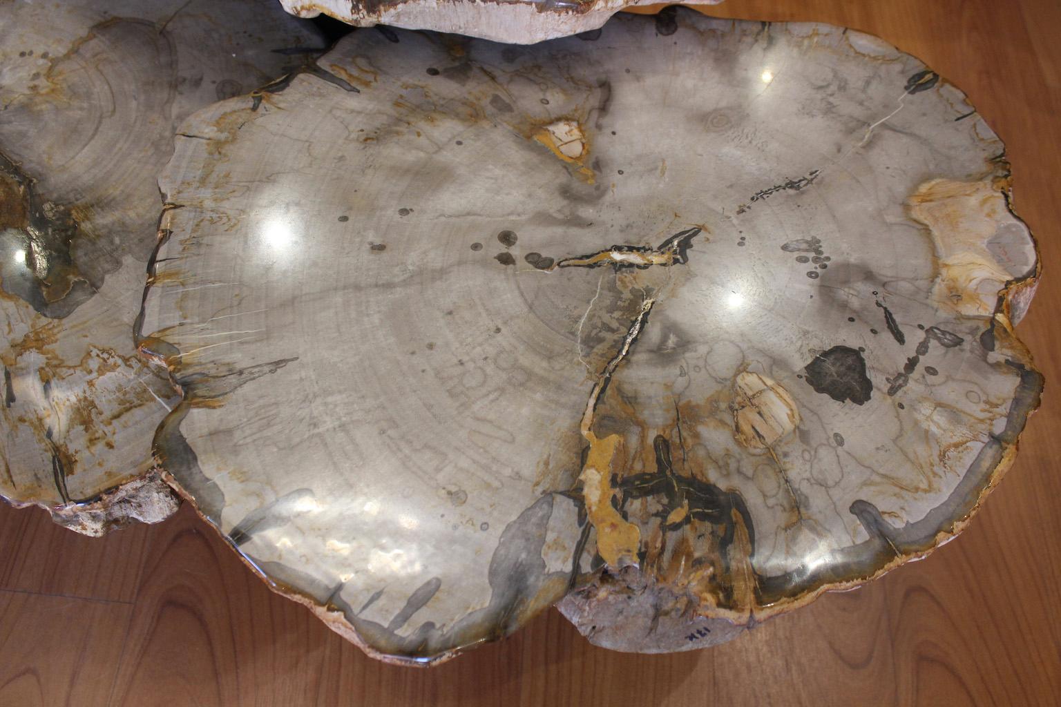 Set di 3 tavolini da caffè in Wood pietrificato in vendita 2
