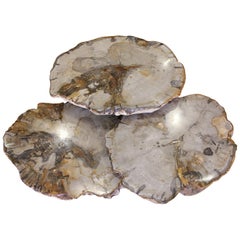 Vintage Set of 3 Petrified Wood Coffee Tables