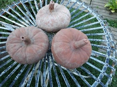 Set of 3 Pieces Hand Modeled "Impruneta" Garden Decoration "Pumpkins"