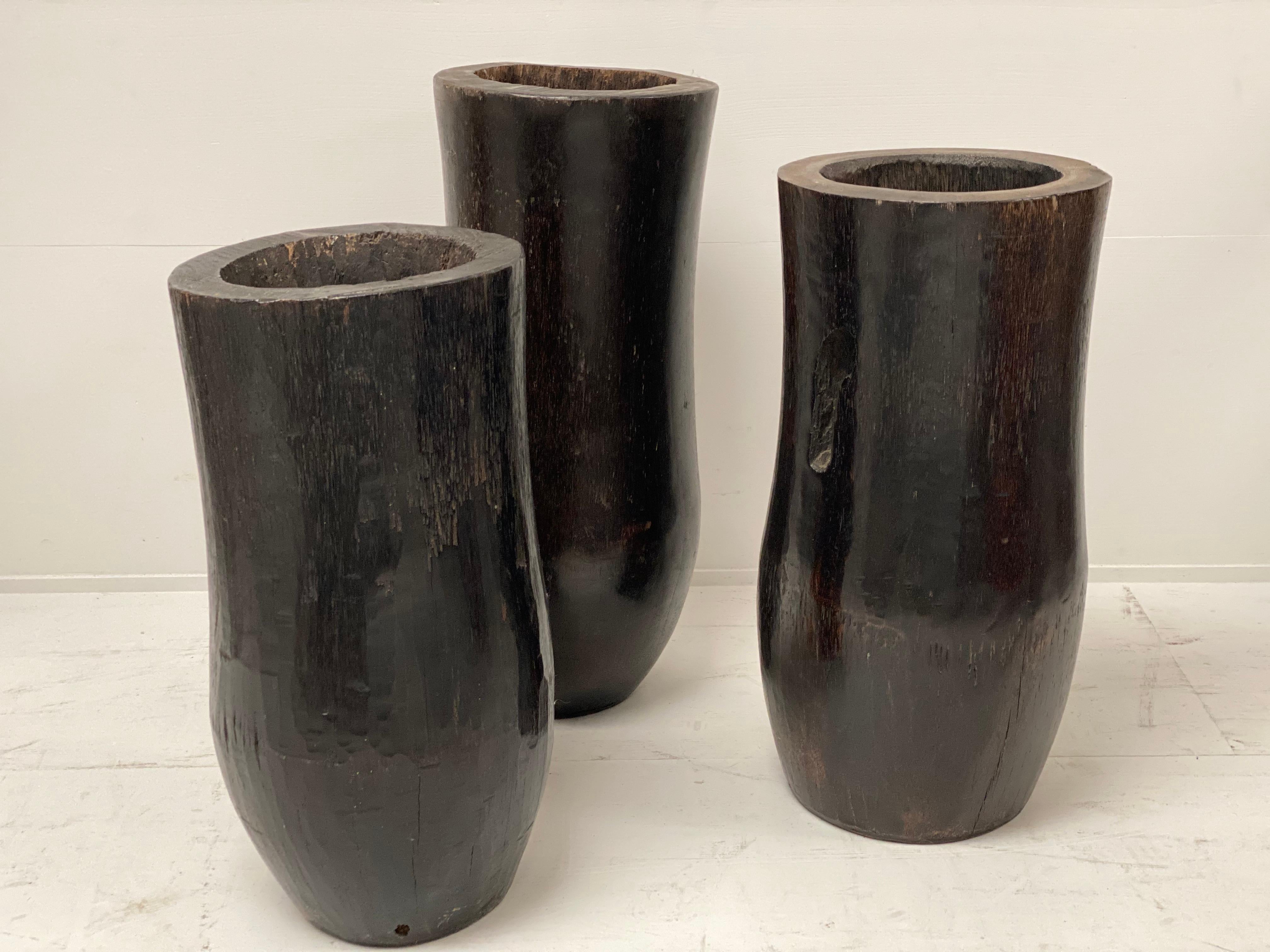 Polished Vintage set of 3 Palmwood Planters For Sale