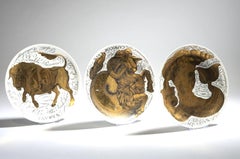 Set of 3 Plates from "Gli Influssi astrali" Series by P. Fornasetti, 1960s