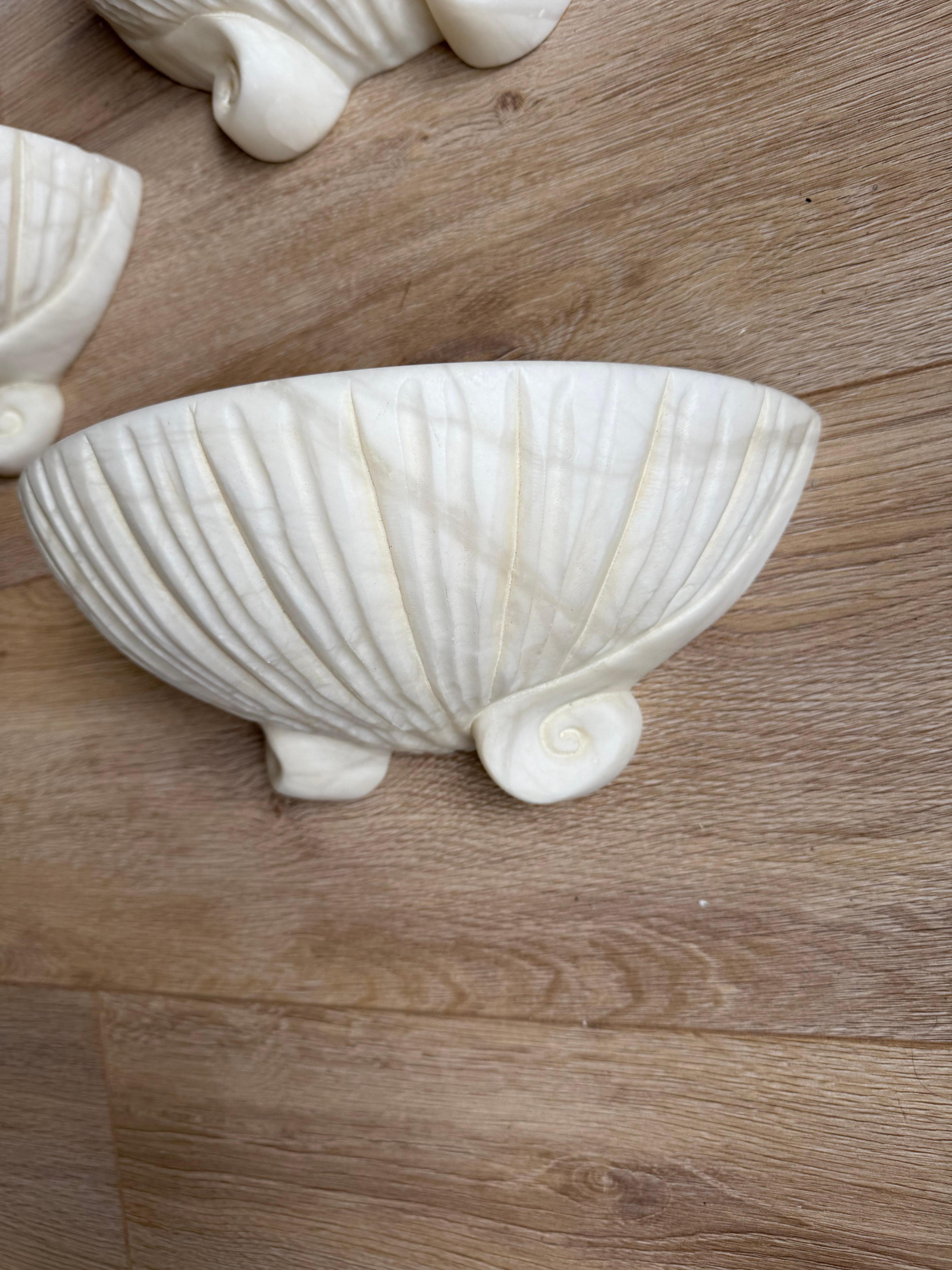 20th Century Set of 3 Rare, Midcentury Modern Seashell Design White Alabaster Wall Sconces For Sale