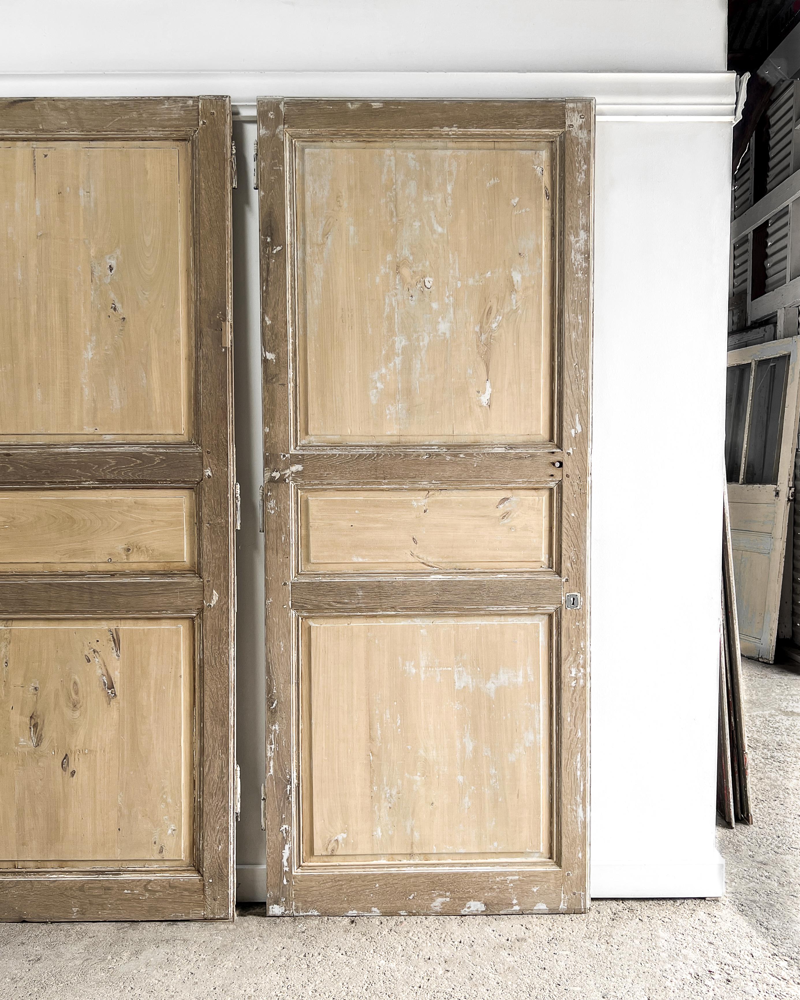 Set of 3 Reclaimed 19th Century French Doors For Sale 7
