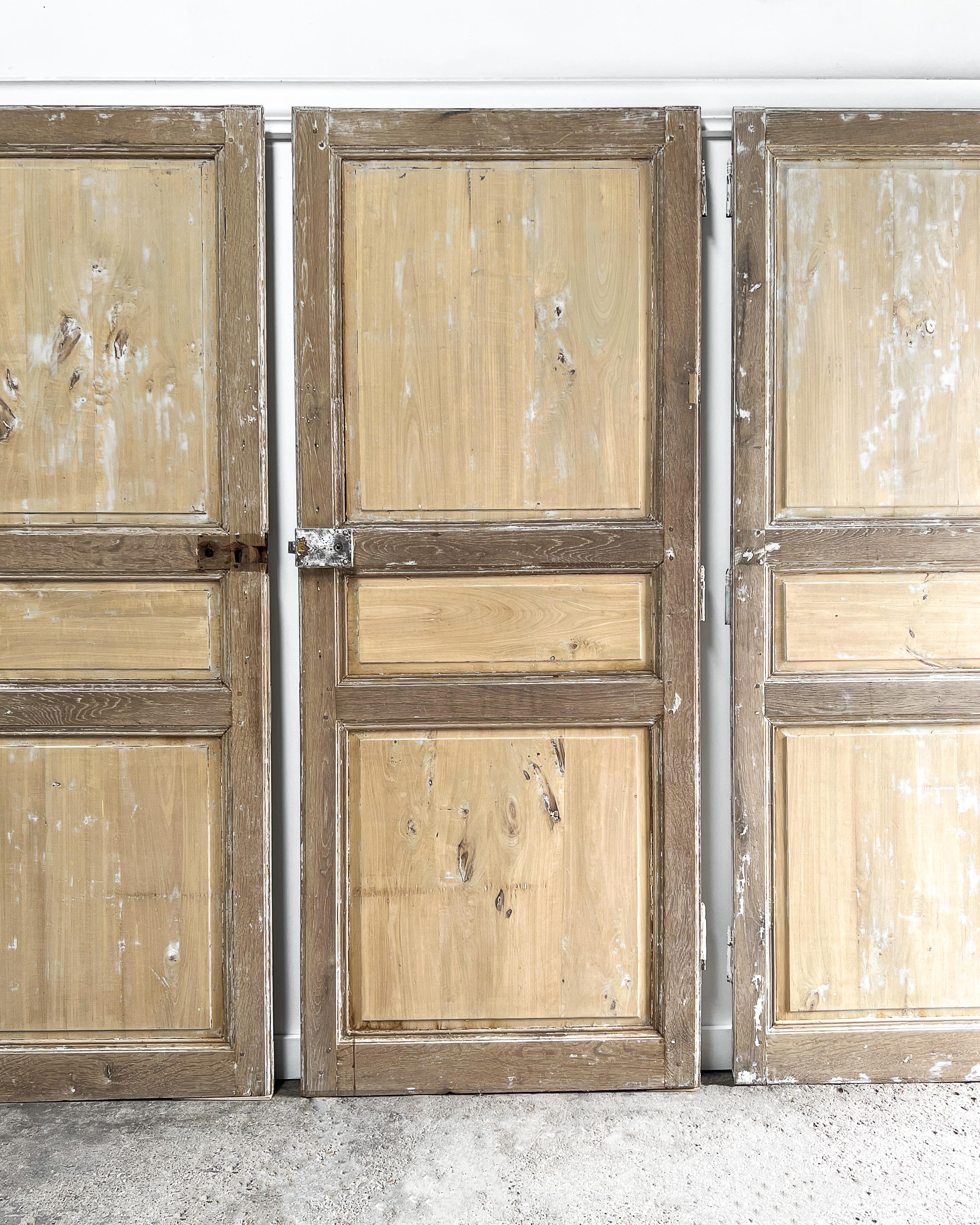 Set of 3 Reclaimed 19th Century French Doors For Sale 3