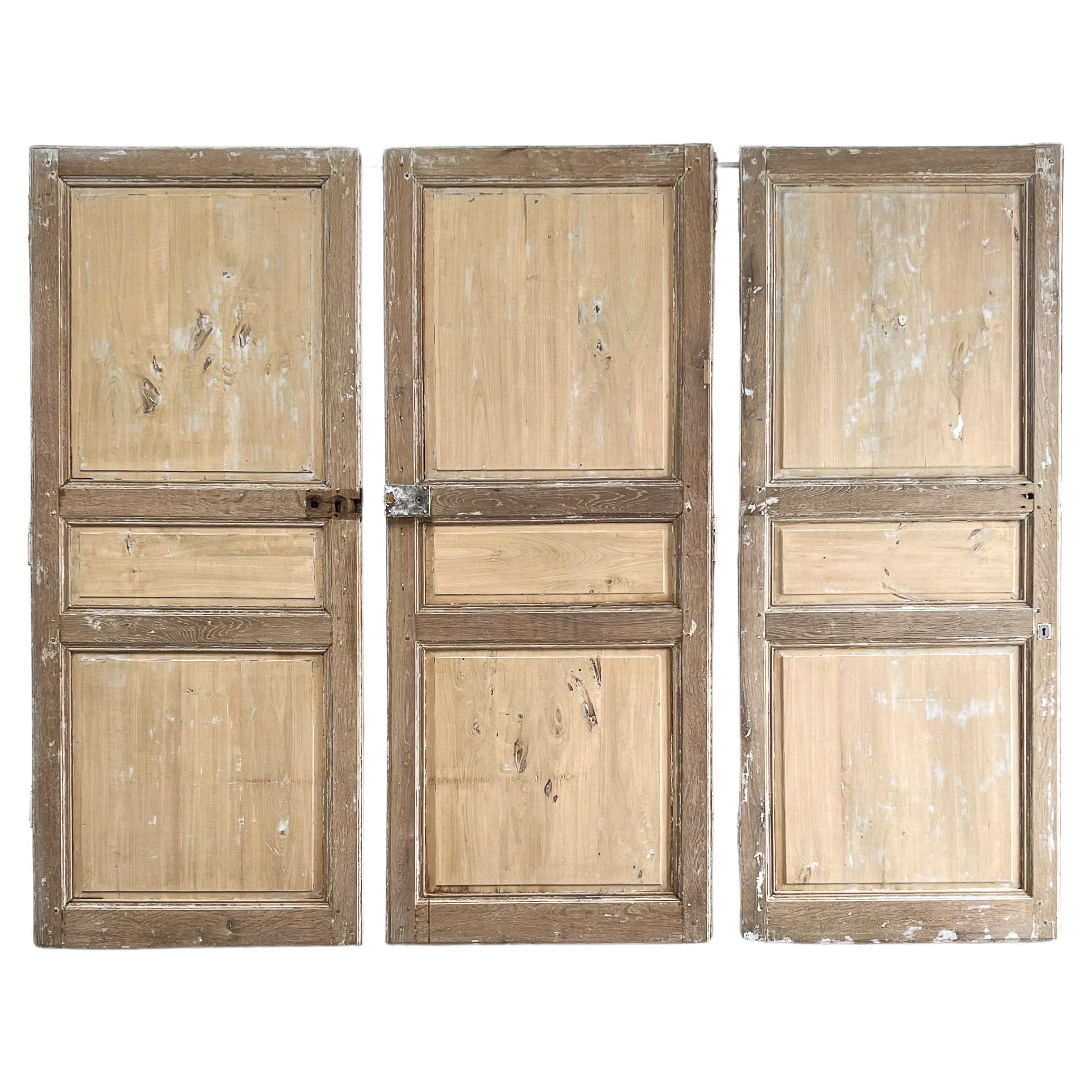 Set of 3 Reclaimed 19th Century French Doors For Sale