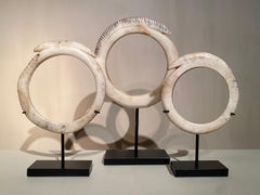 Set of 3 Shell Bracelets from Papua New Guinea