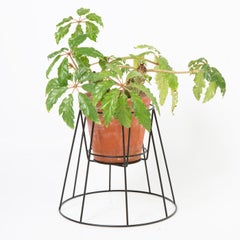 Set of 3 Small Black Cibele Plant Stand by OK Design